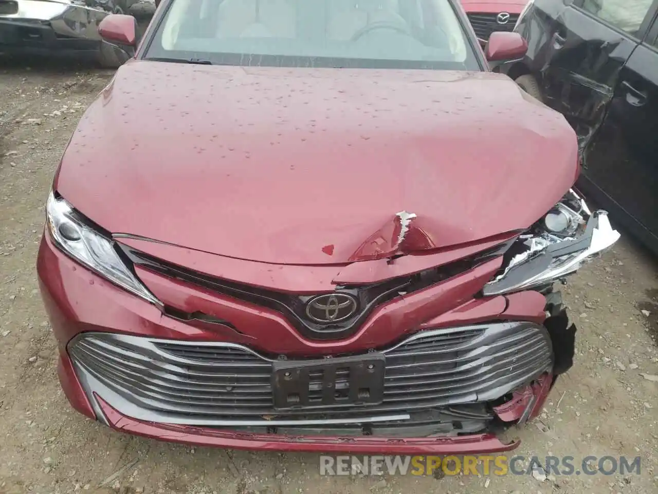 7 Photograph of a damaged car 4T1B11HK7KU295395 TOYOTA CAMRY 2019