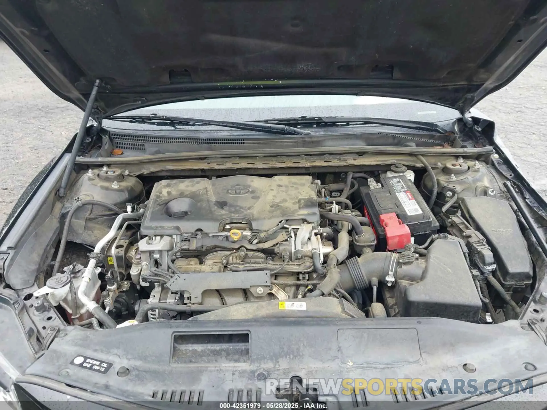 10 Photograph of a damaged car 4T1B11HK7KU681167 TOYOTA CAMRY 2019