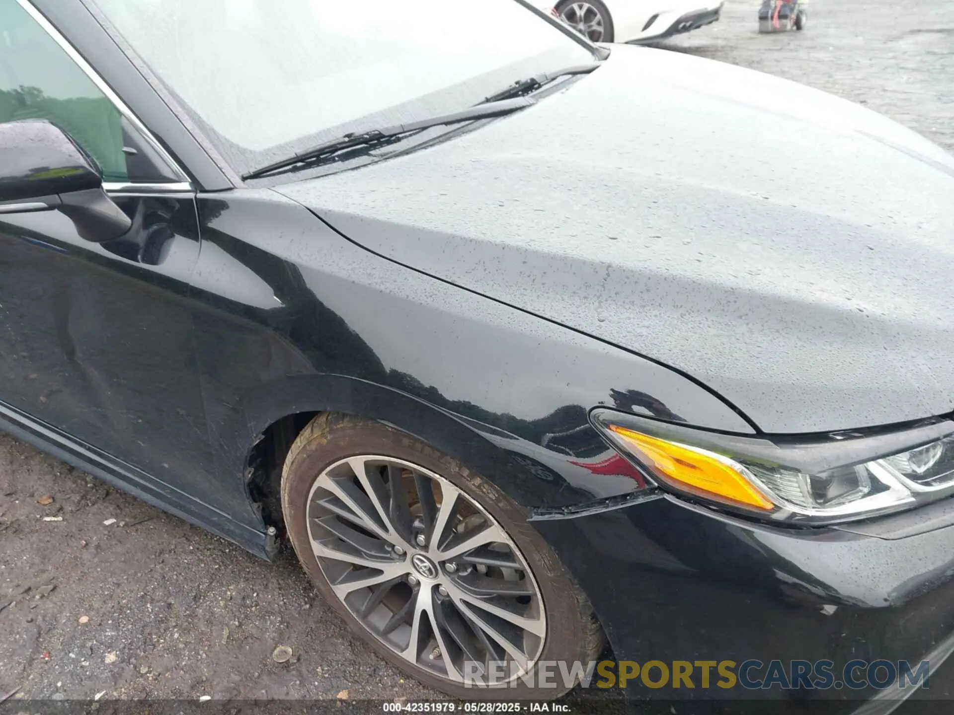 19 Photograph of a damaged car 4T1B11HK7KU681167 TOYOTA CAMRY 2019