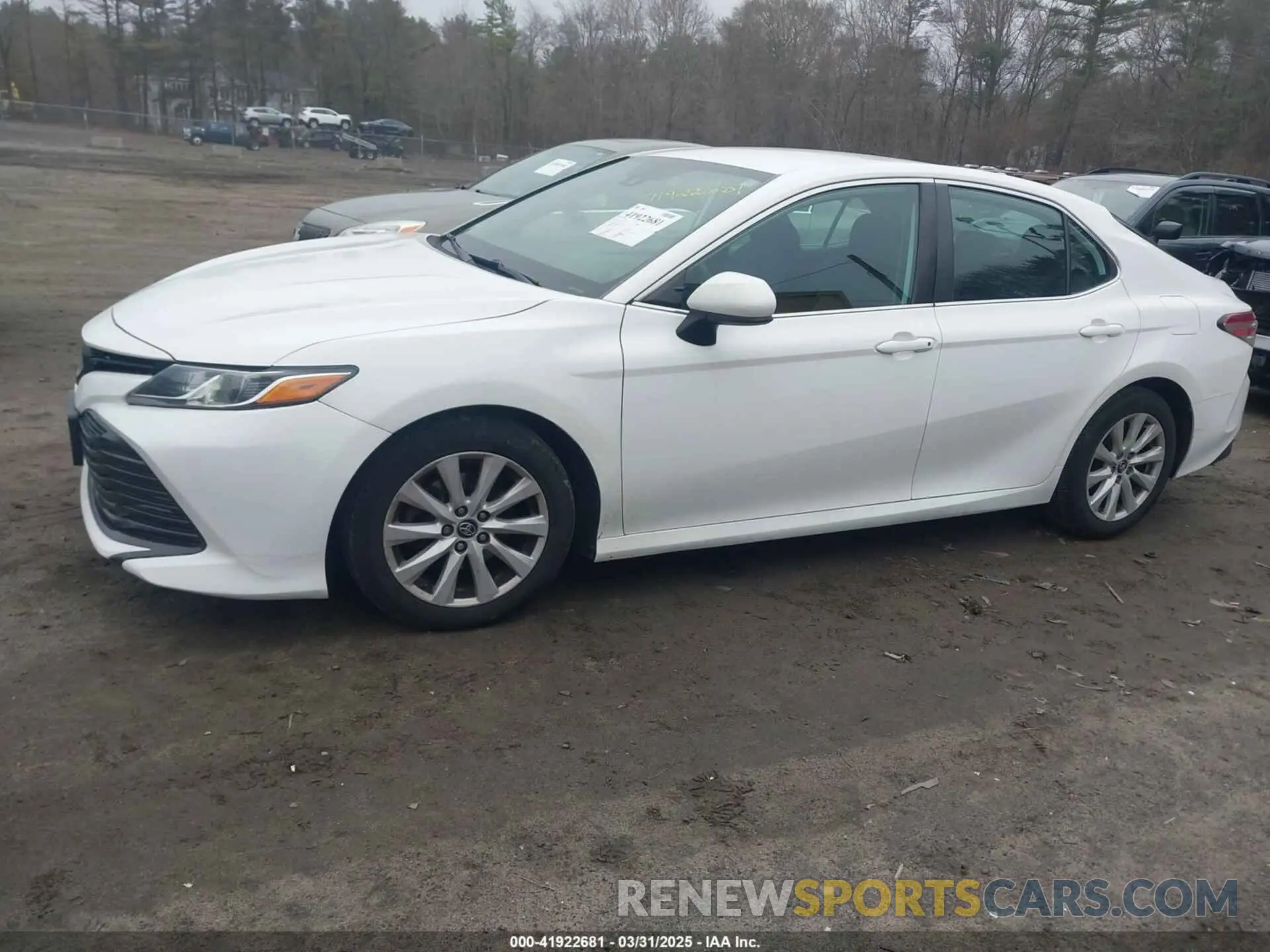 14 Photograph of a damaged car 4T1B11HK7KU689737 TOYOTA CAMRY 2019