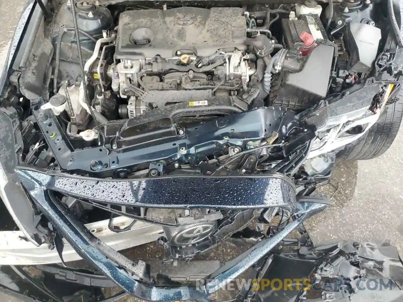 11 Photograph of a damaged car 4T1B11HK7KU692833 TOYOTA CAMRY 2019