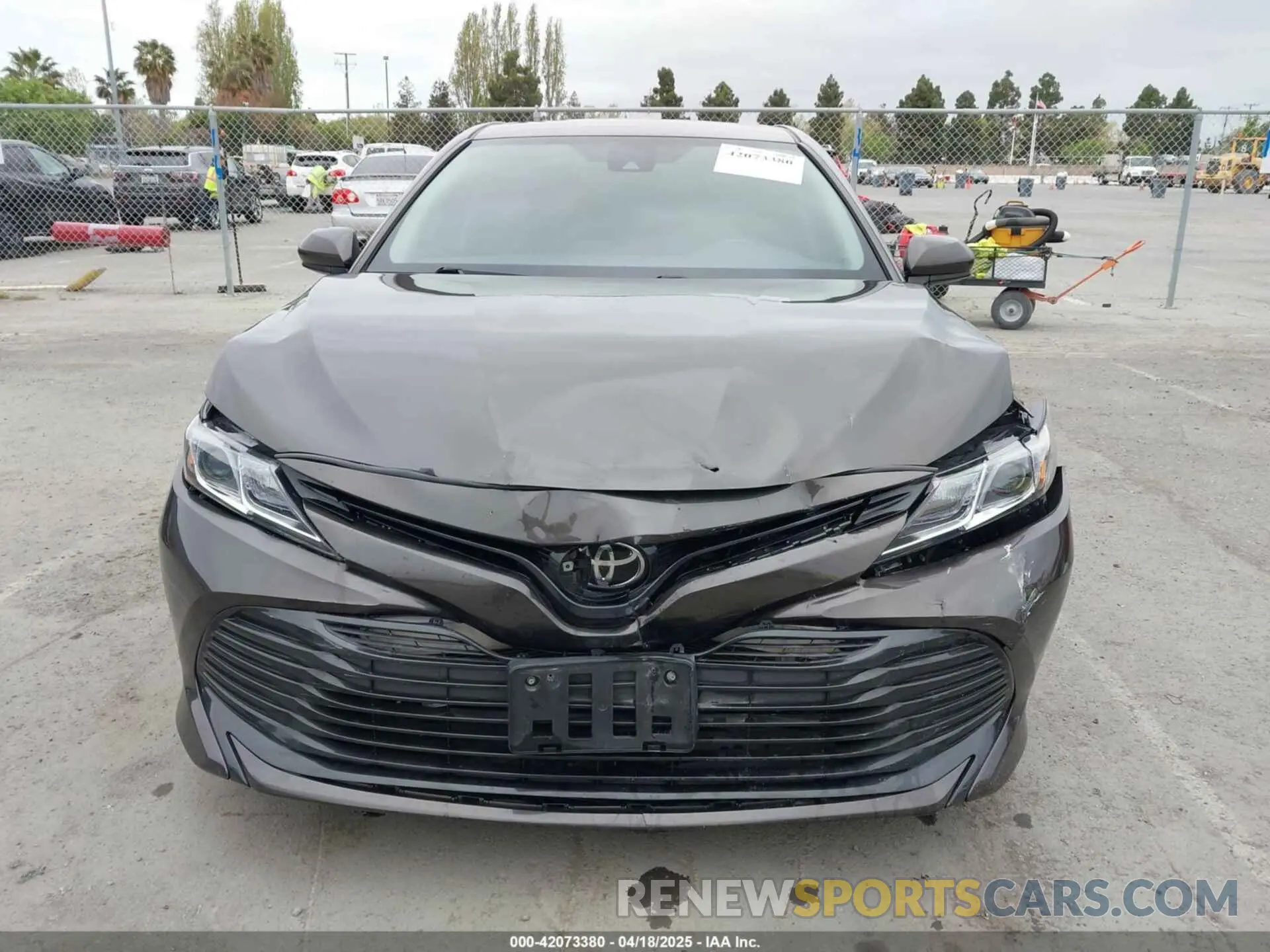 12 Photograph of a damaged car 4T1B11HK7KU702244 TOYOTA CAMRY 2019