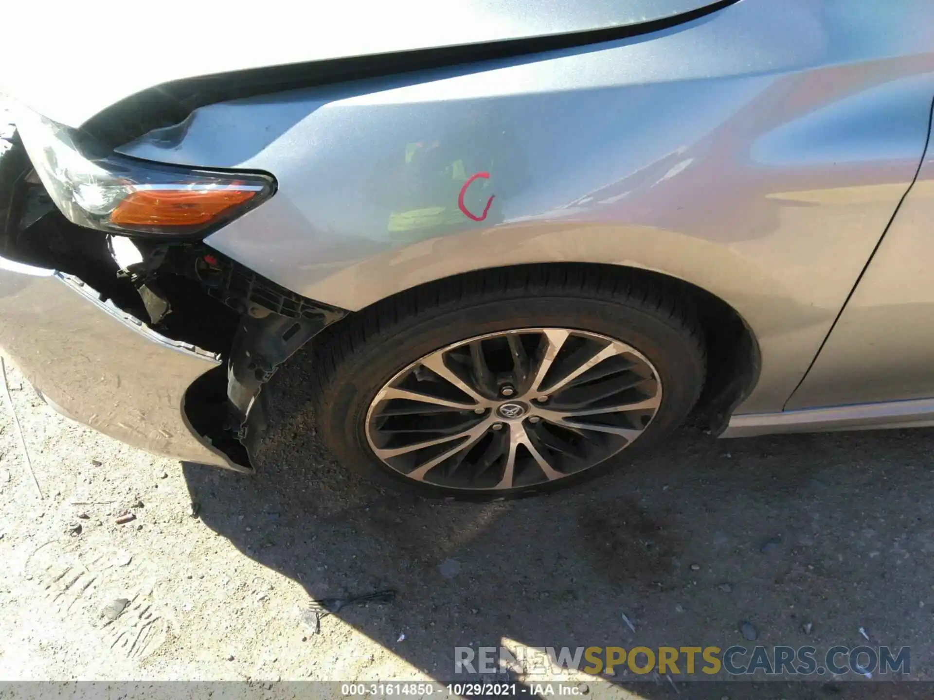 12 Photograph of a damaged car 4T1B11HK7KU730075 TOYOTA CAMRY 2019