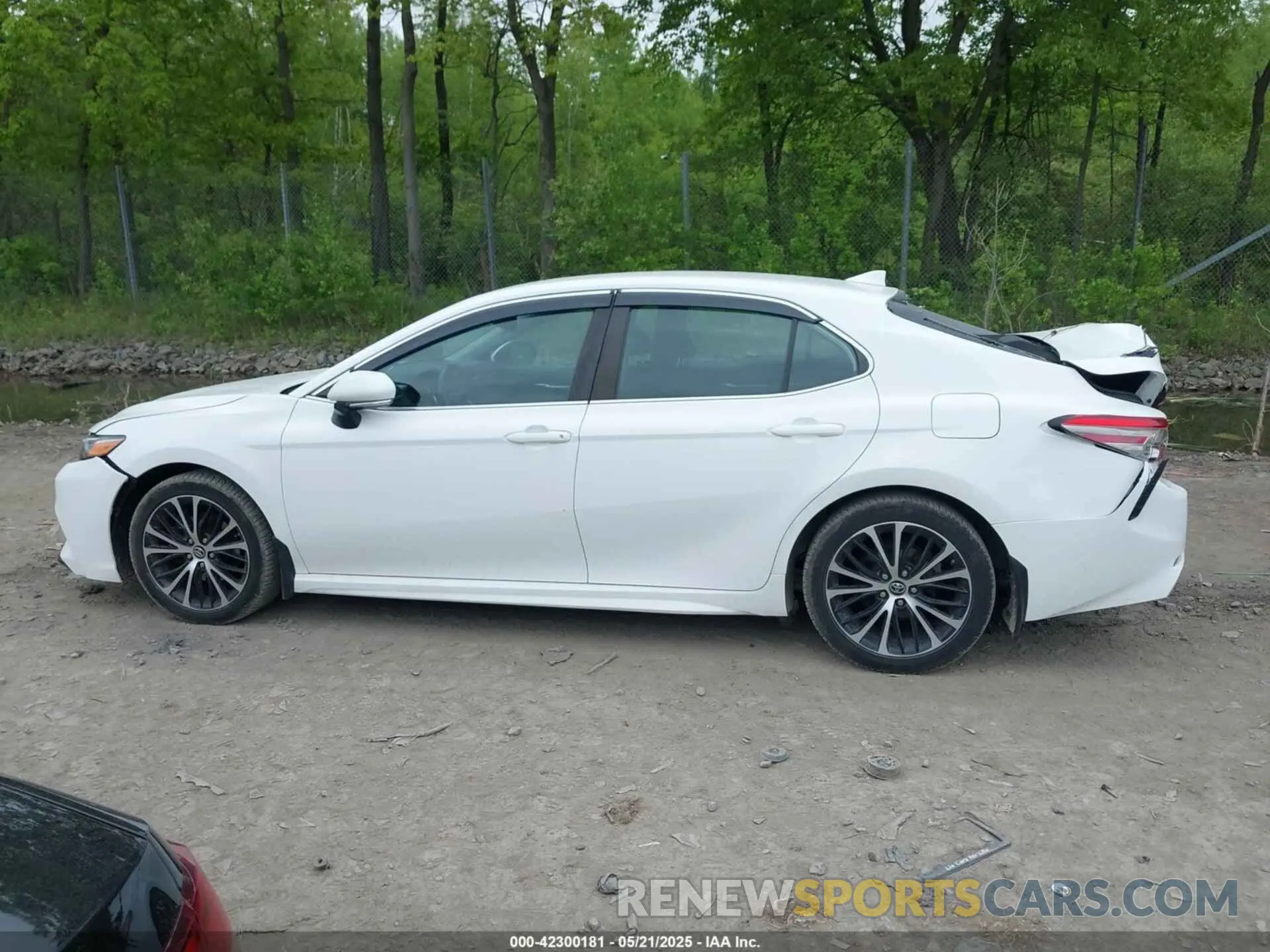 14 Photograph of a damaged car 4T1B11HK7KU746129 TOYOTA CAMRY 2019