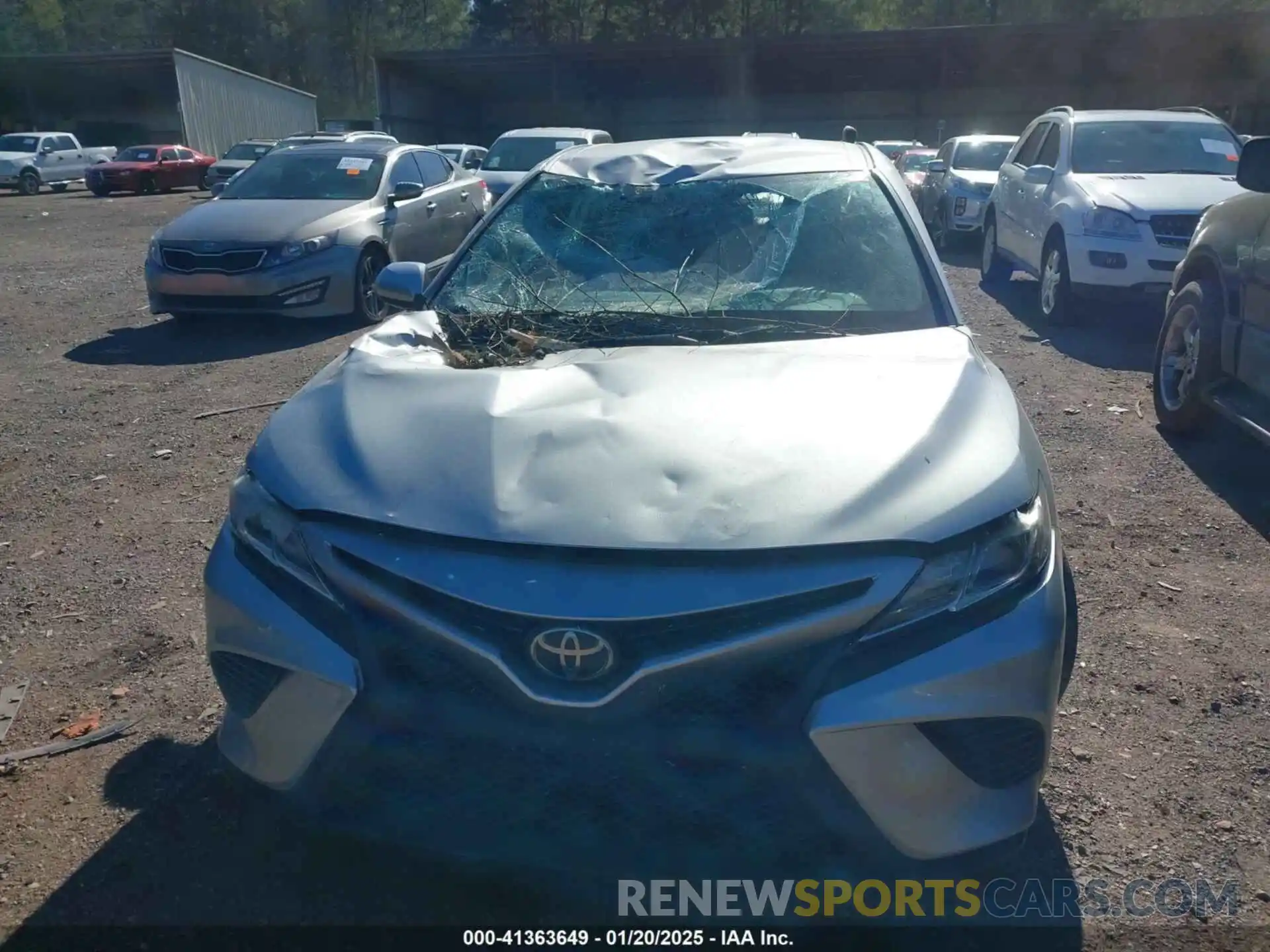 12 Photograph of a damaged car 4T1B11HK7KU789563 TOYOTA CAMRY 2019