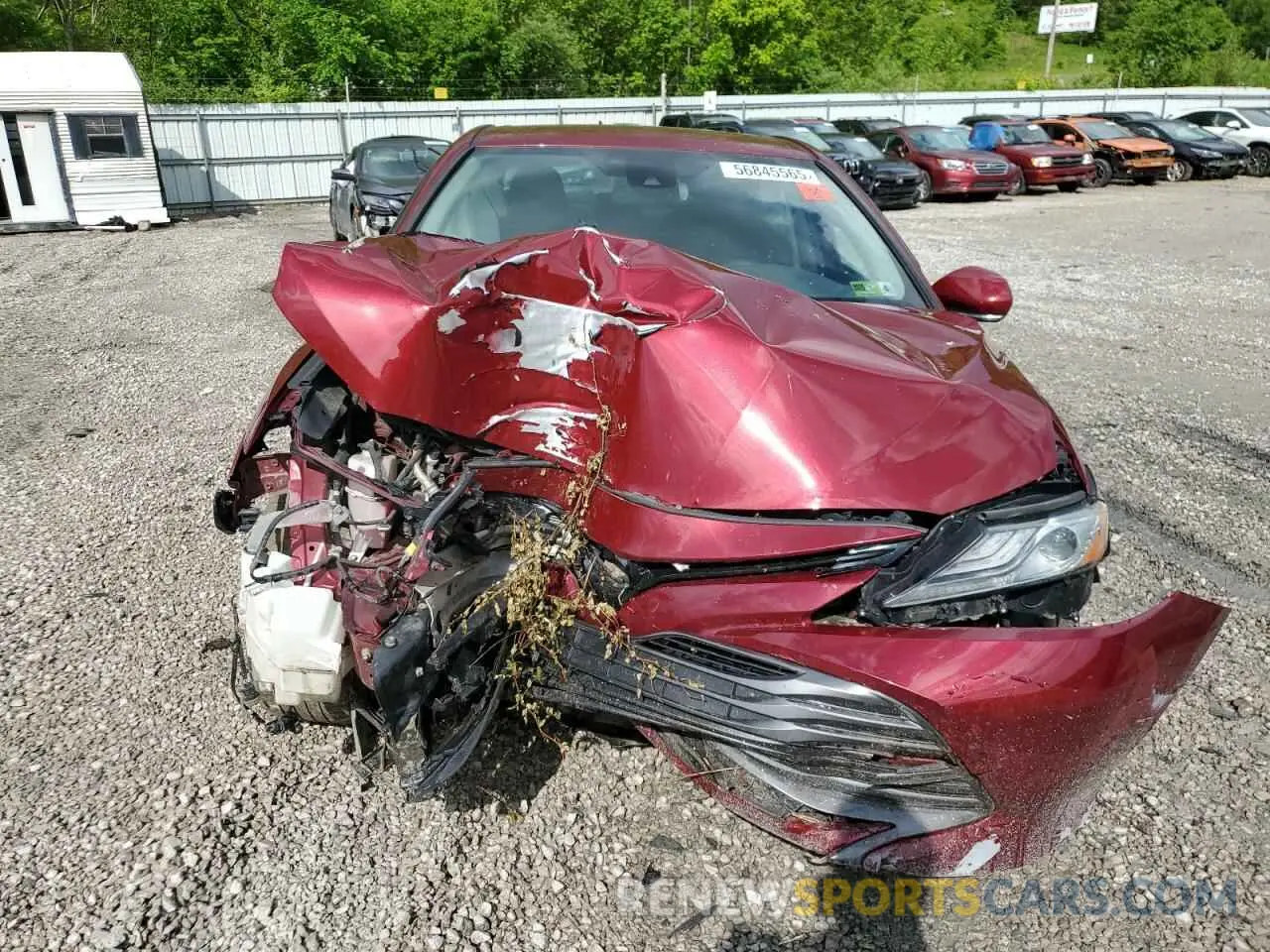 5 Photograph of a damaged car 4T1B11HK7KU813408 TOYOTA CAMRY 2019