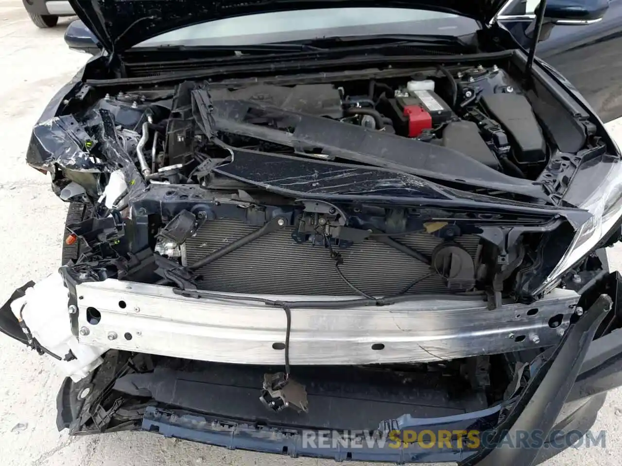 7 Photograph of a damaged car 4T1B11HK7KU825106 TOYOTA CAMRY 2019