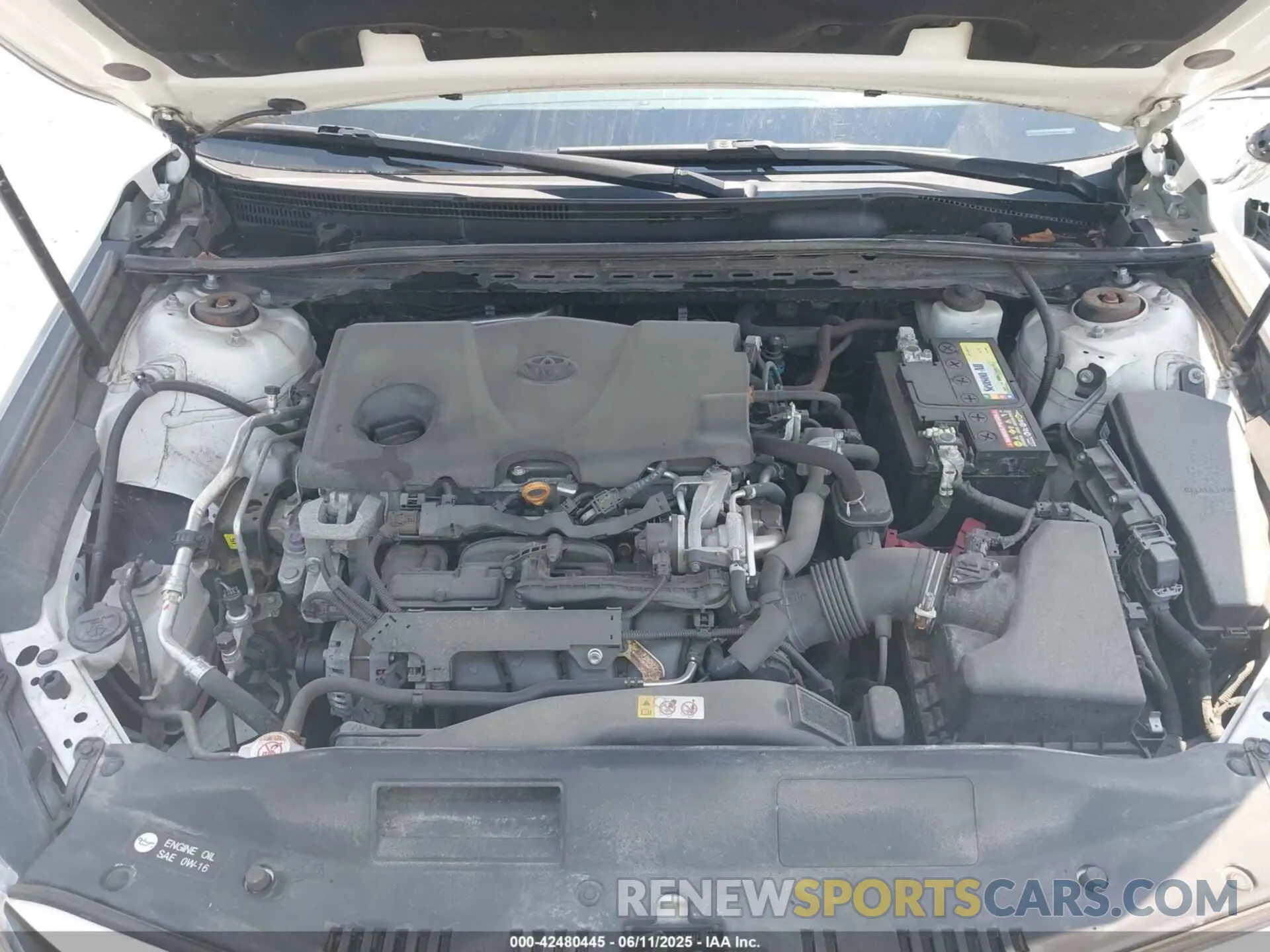 10 Photograph of a damaged car 4T1B11HK7KU853374 TOYOTA CAMRY 2019