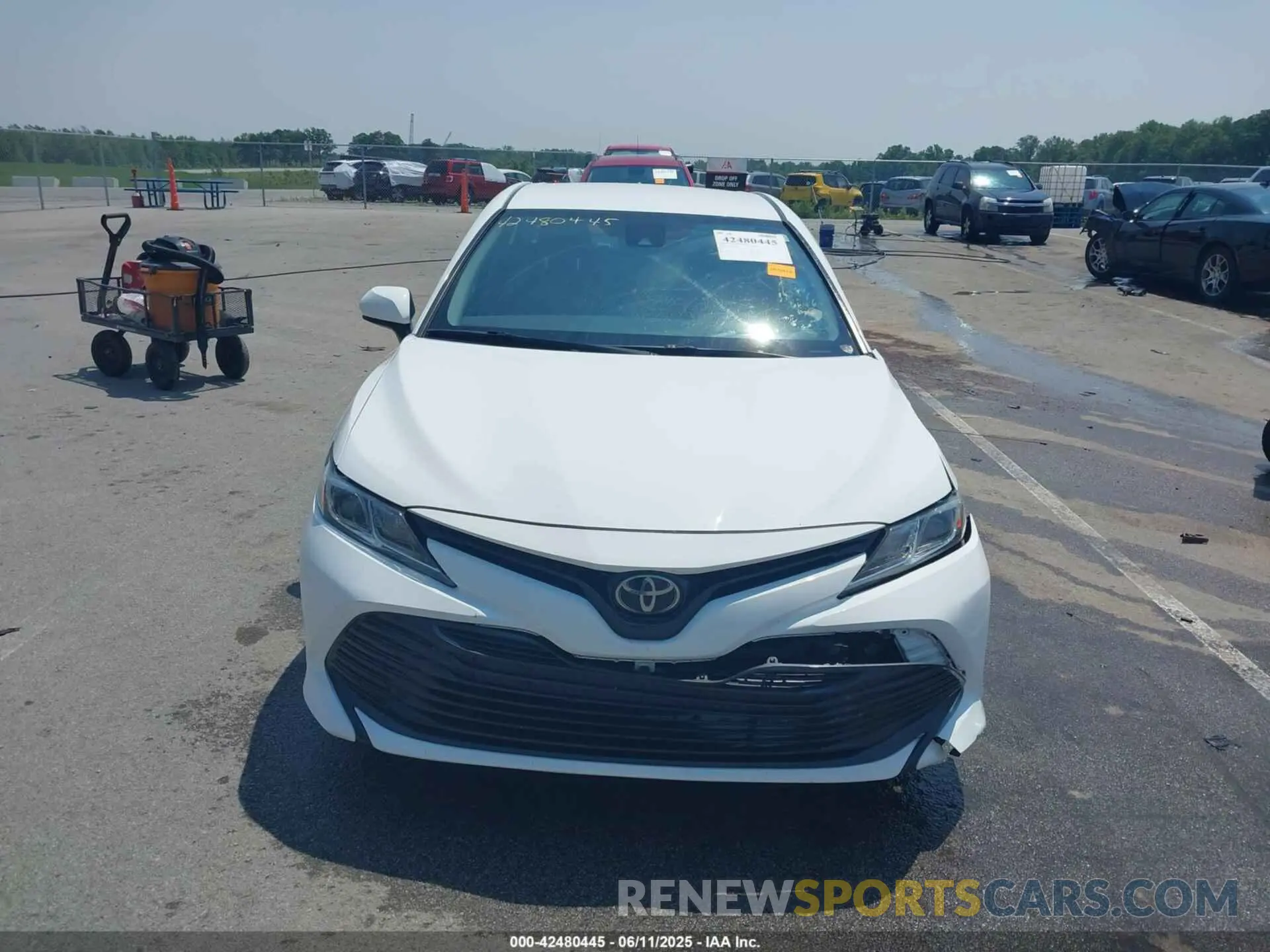 12 Photograph of a damaged car 4T1B11HK7KU853374 TOYOTA CAMRY 2019