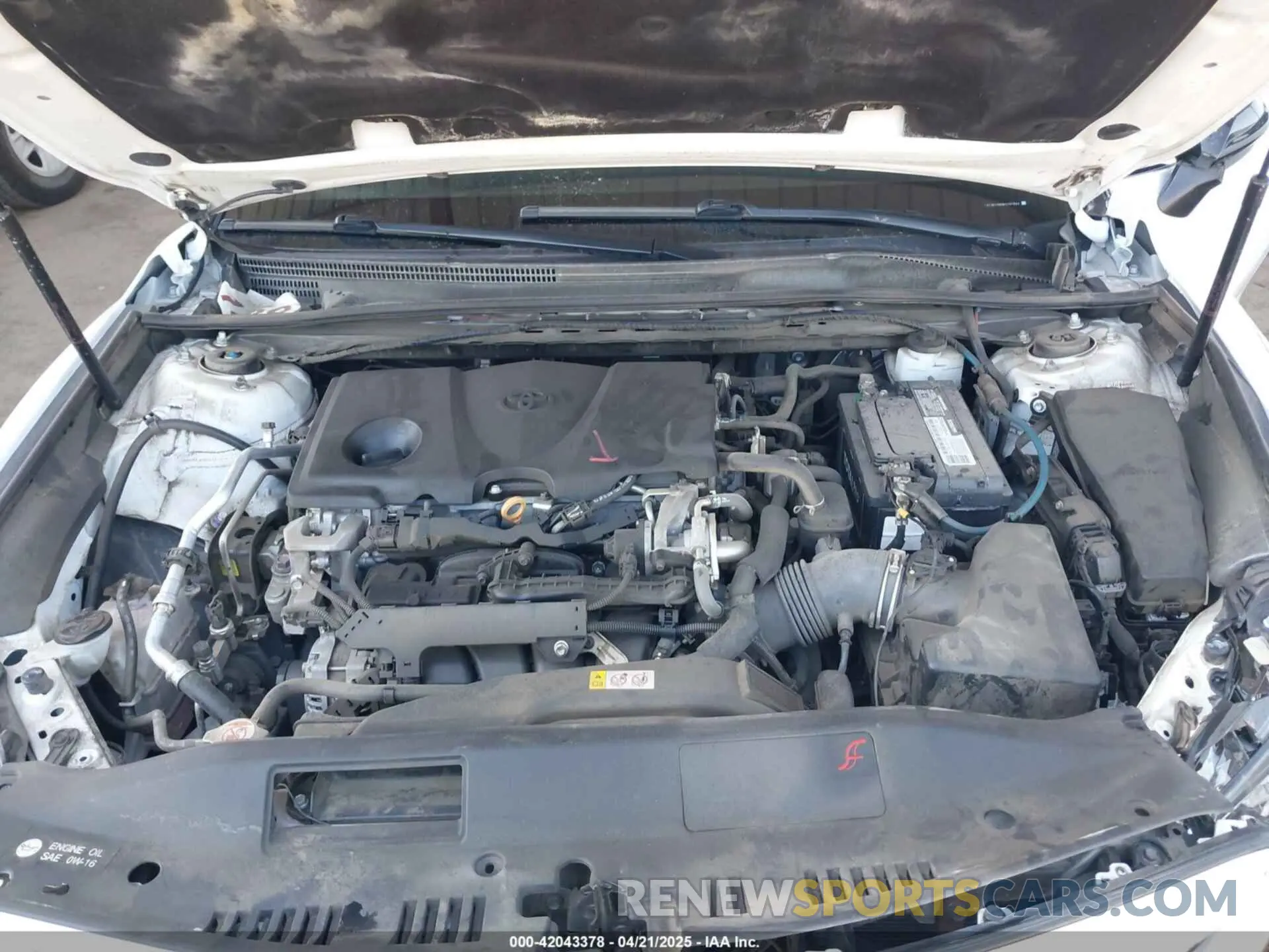 10 Photograph of a damaged car 4T1B11HK8KU191644 TOYOTA CAMRY 2019