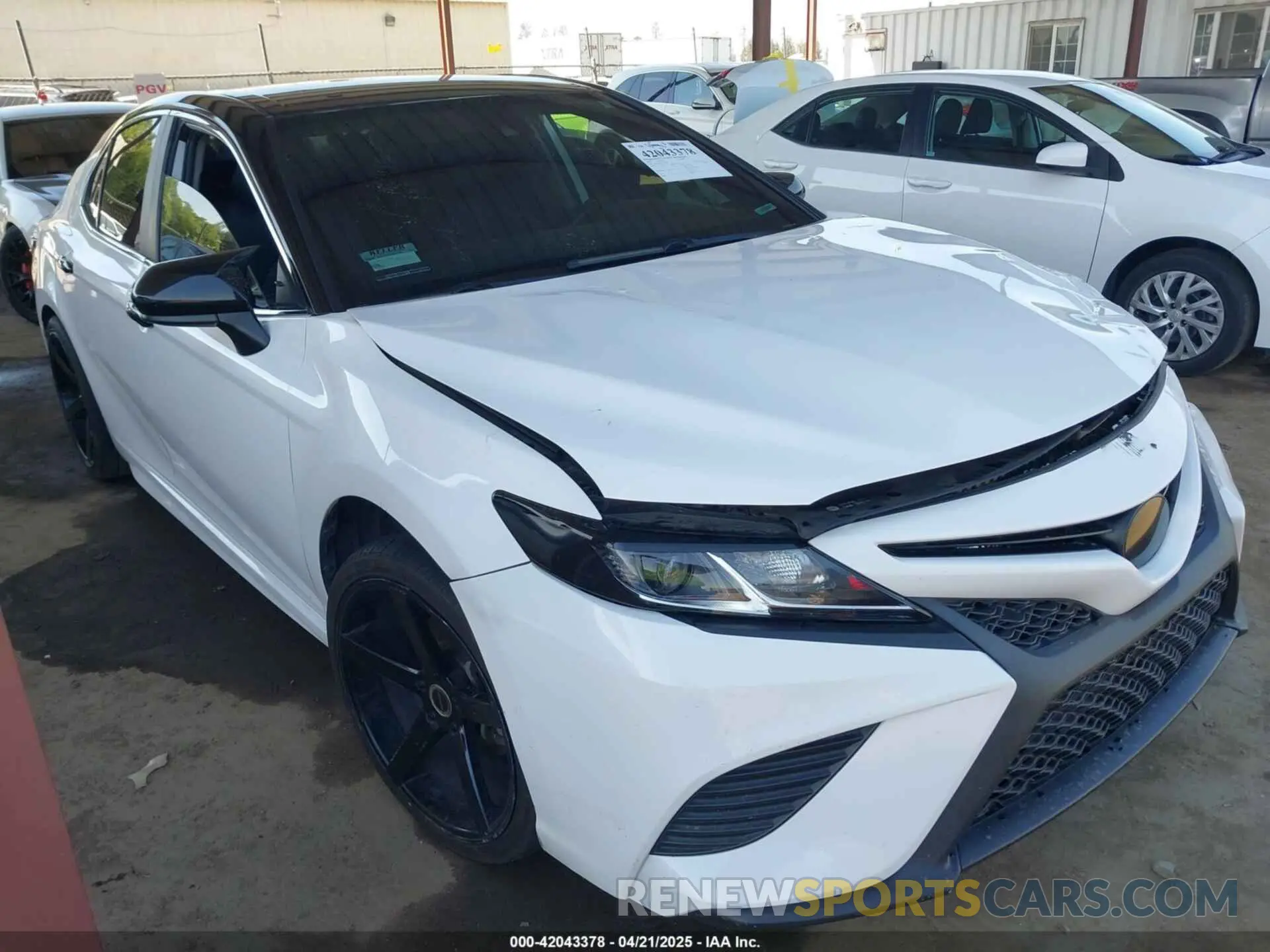 14 Photograph of a damaged car 4T1B11HK8KU191644 TOYOTA CAMRY 2019