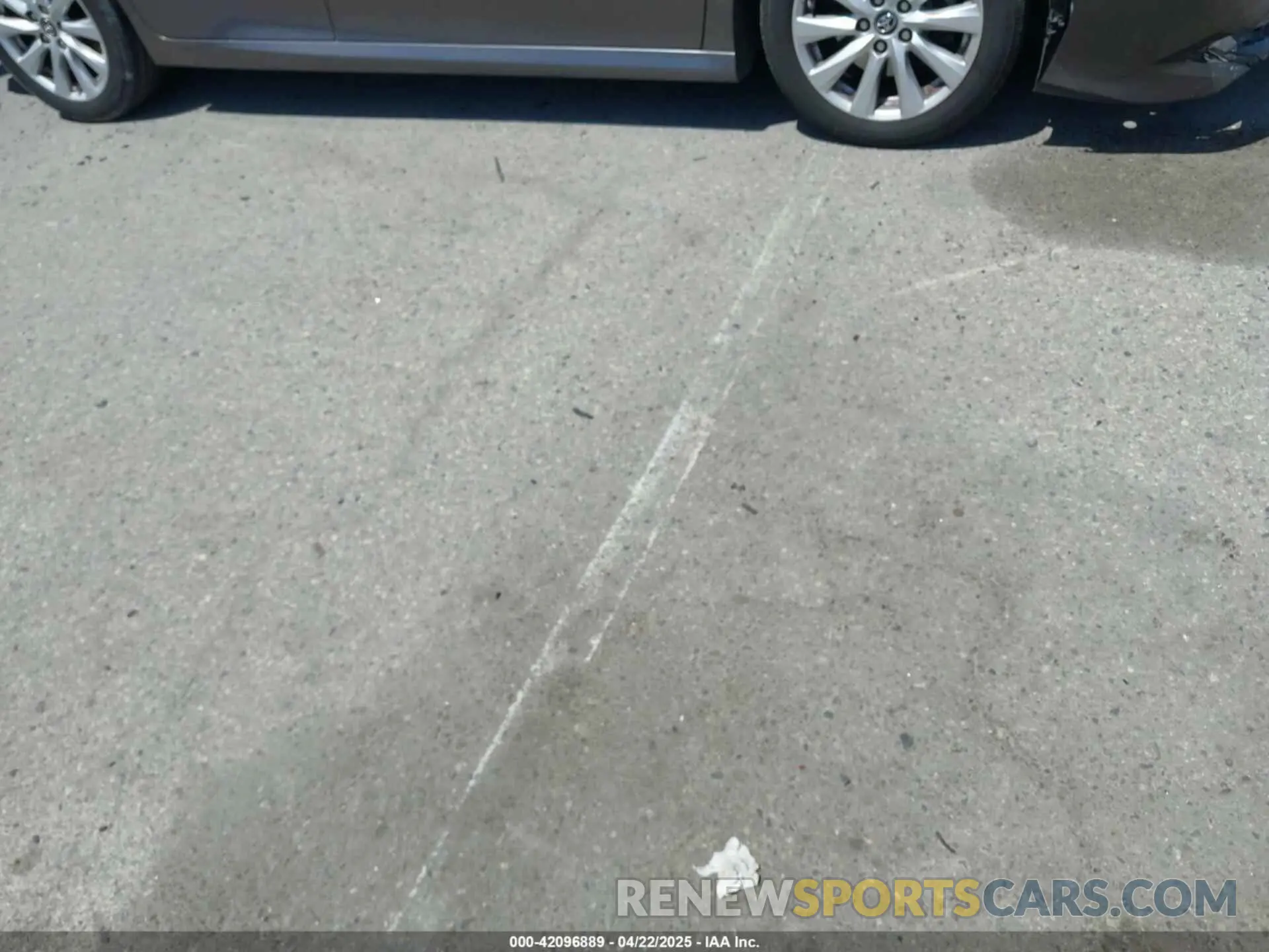 14 Photograph of a damaged car 4T1B11HK8KU204599 TOYOTA CAMRY 2019
