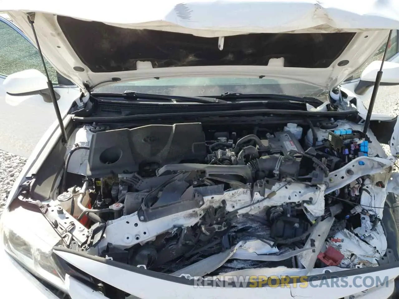 11 Photograph of a damaged car 4T1B11HK8KU228207 TOYOTA CAMRY 2019