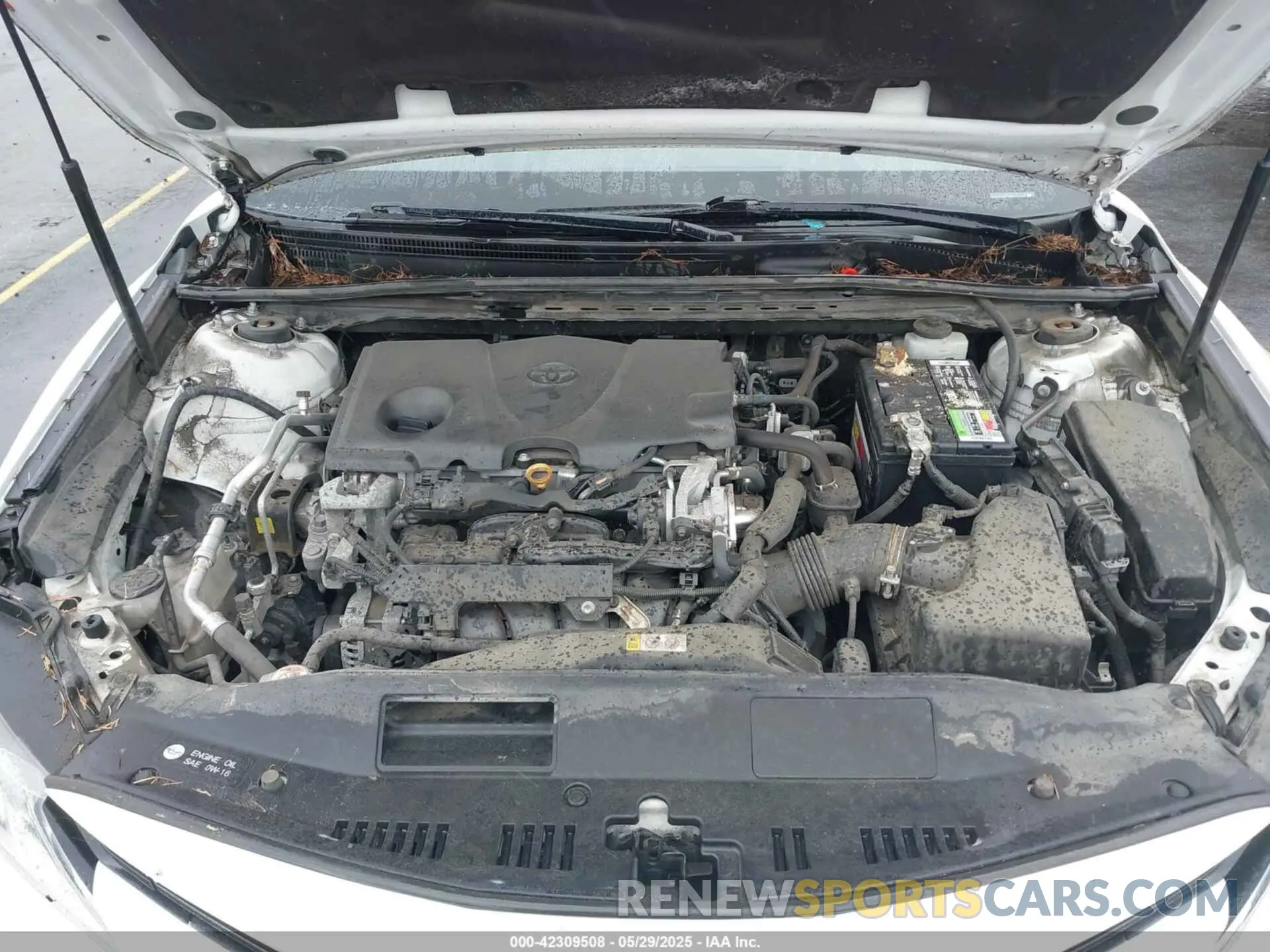 10 Photograph of a damaged car 4T1B11HK8KU242138 TOYOTA CAMRY 2019