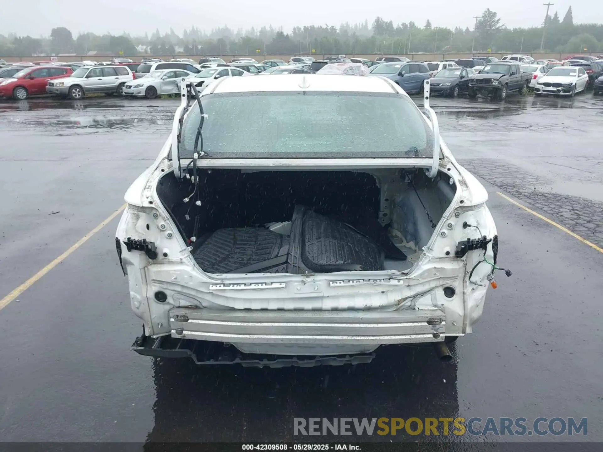 16 Photograph of a damaged car 4T1B11HK8KU242138 TOYOTA CAMRY 2019