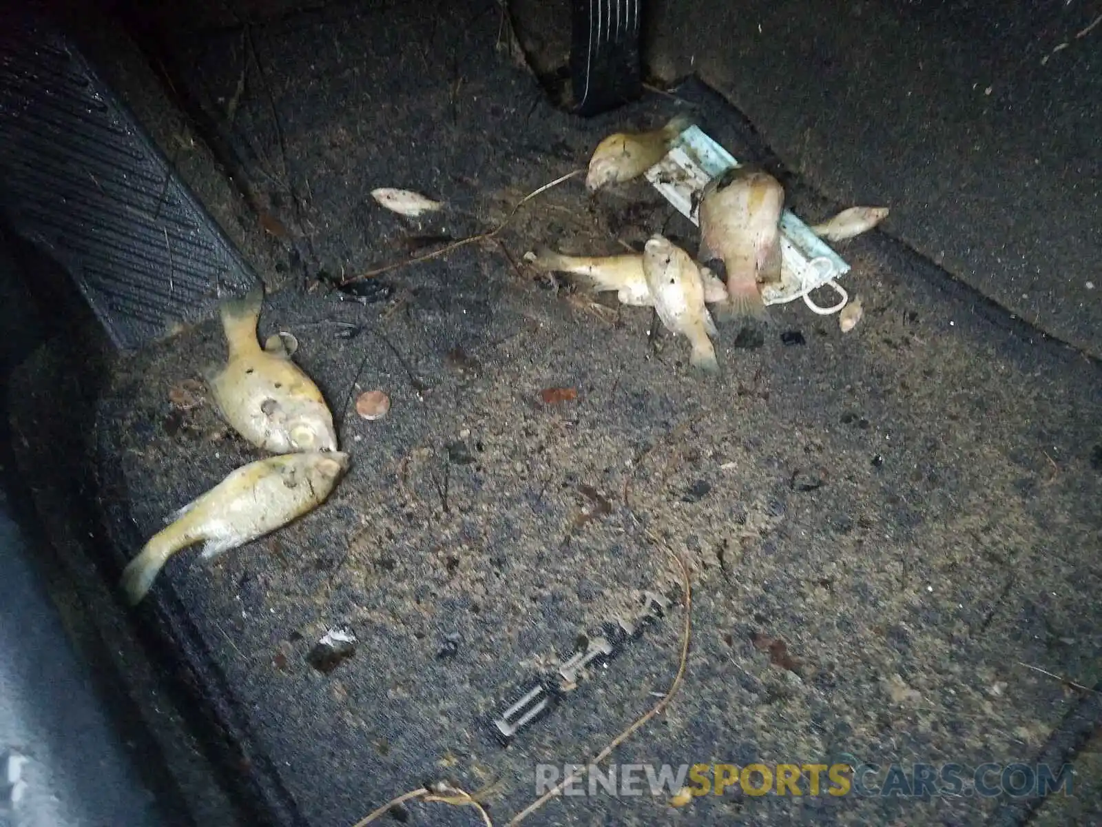 9 Photograph of a damaged car 4T1B11HK8KU278055 TOYOTA CAMRY 2019