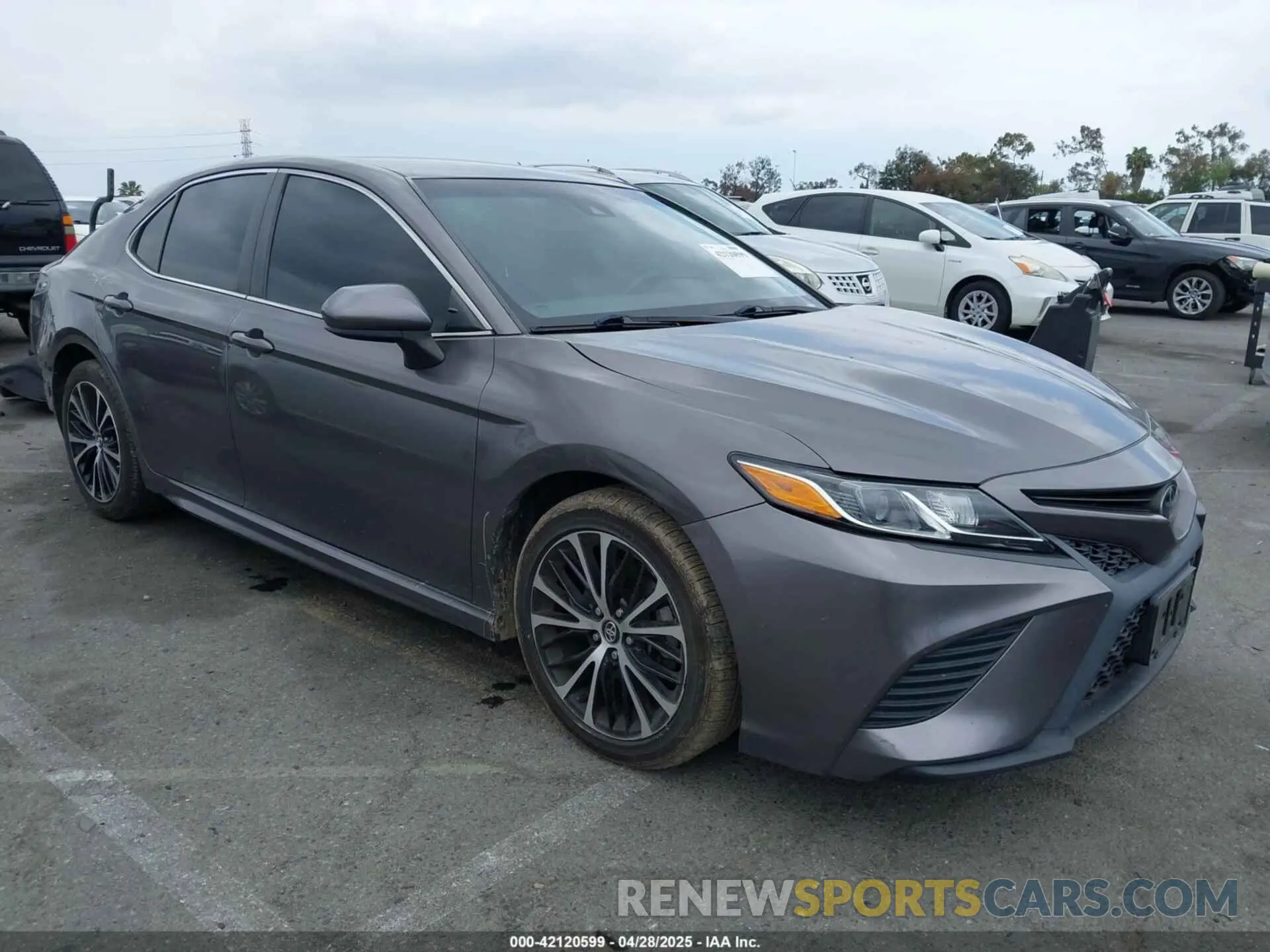 1 Photograph of a damaged car 4T1B11HK8KU729761 TOYOTA CAMRY 2019