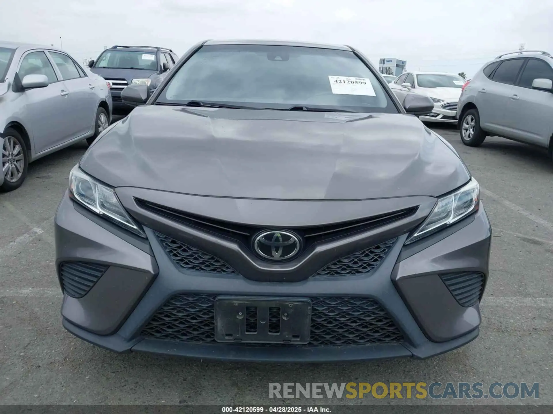 13 Photograph of a damaged car 4T1B11HK8KU729761 TOYOTA CAMRY 2019