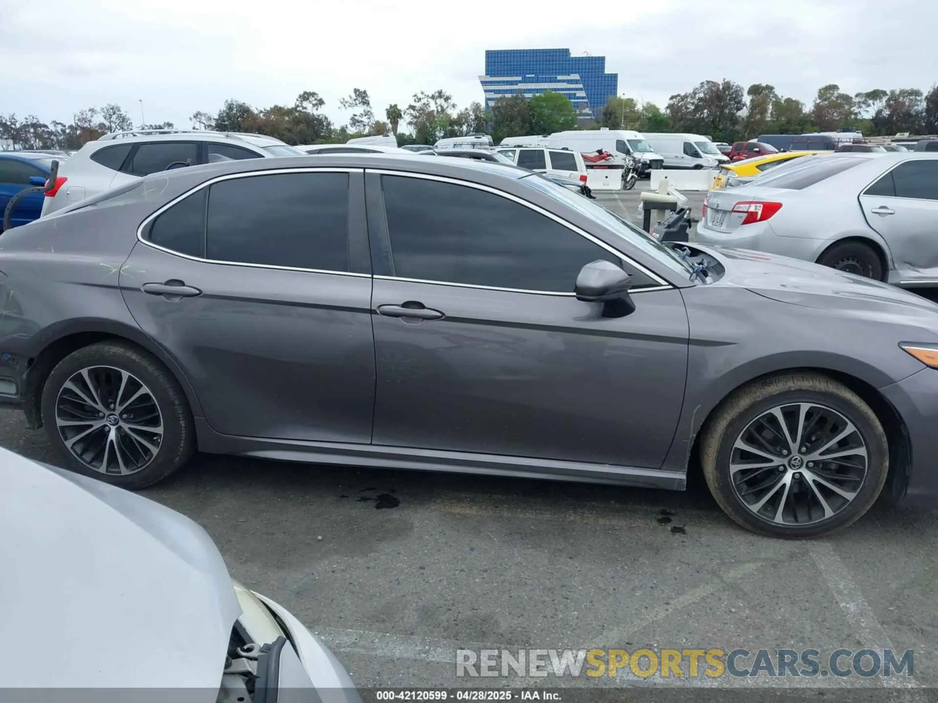 14 Photograph of a damaged car 4T1B11HK8KU729761 TOYOTA CAMRY 2019