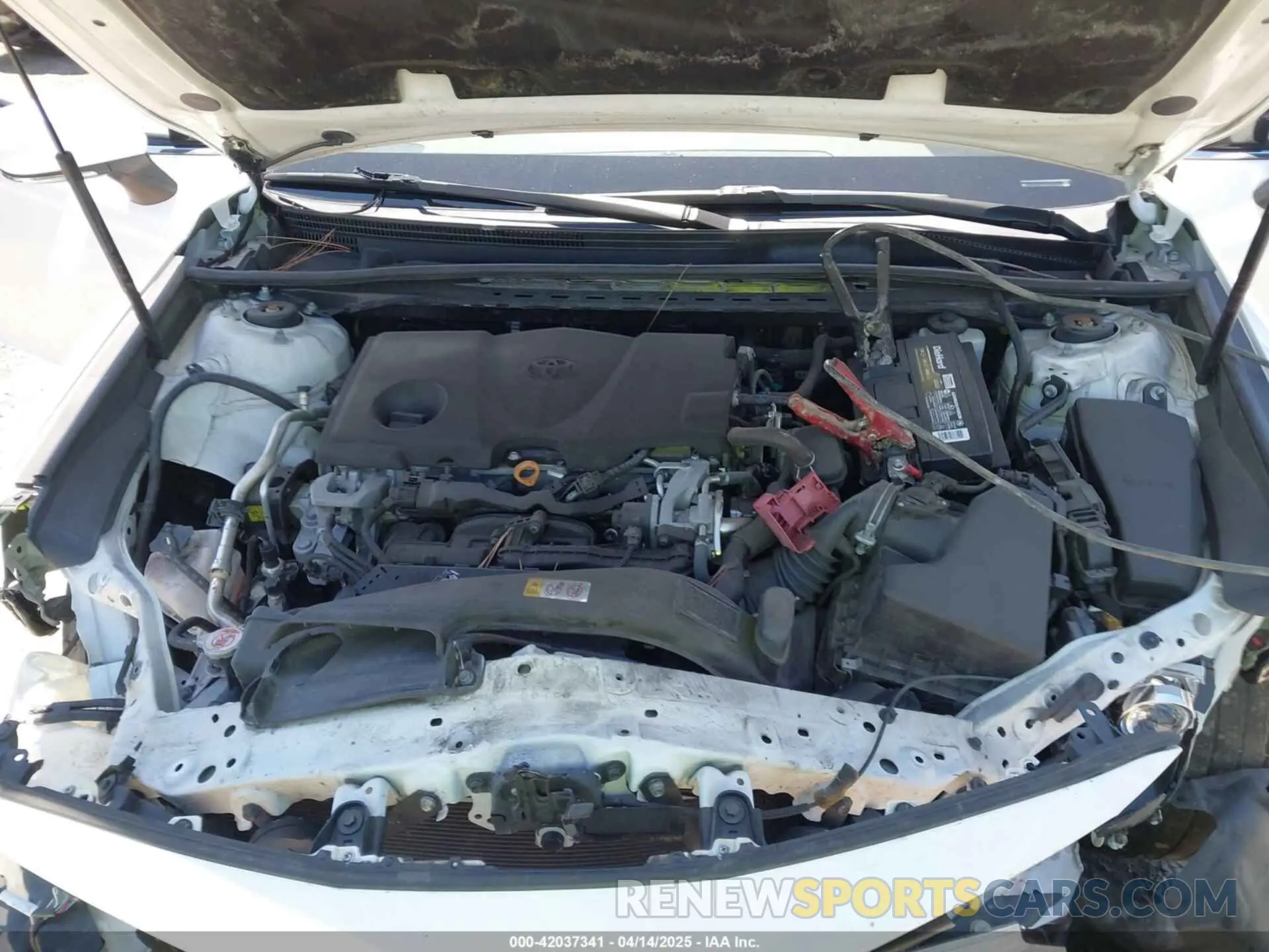 10 Photograph of a damaged car 4T1B11HK8KU744762 TOYOTA CAMRY 2019