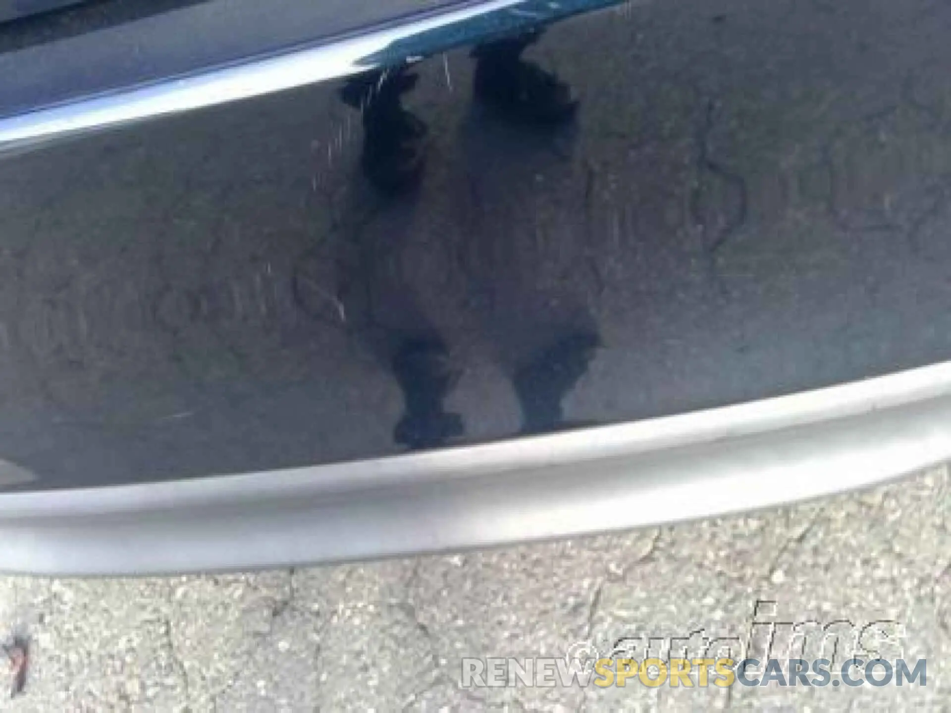 4 Photograph of a damaged car 4T1B11HK8KU760850 TOYOTA CAMRY 2019