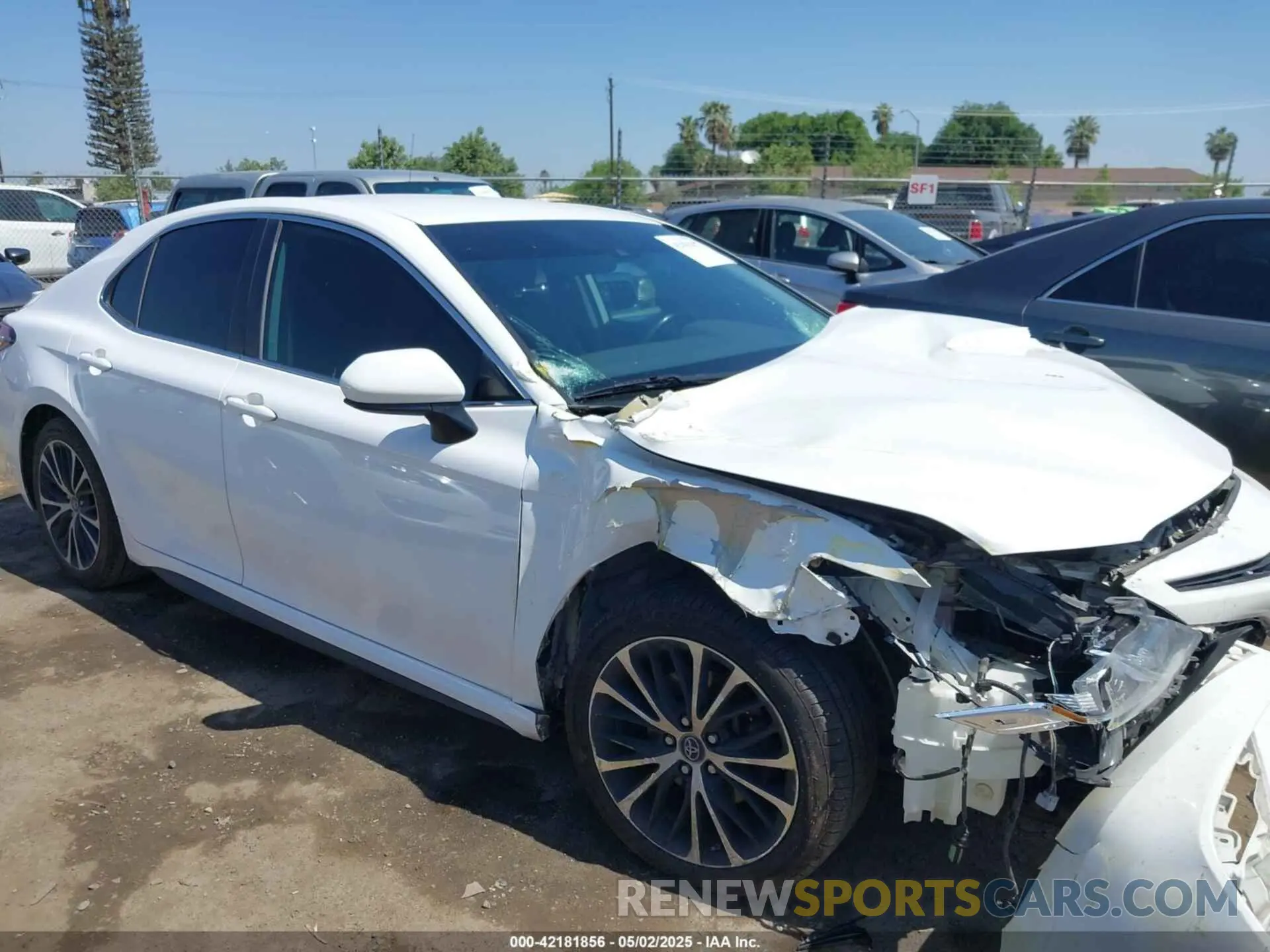 14 Photograph of a damaged car 4T1B11HK8KU789264 TOYOTA CAMRY 2019