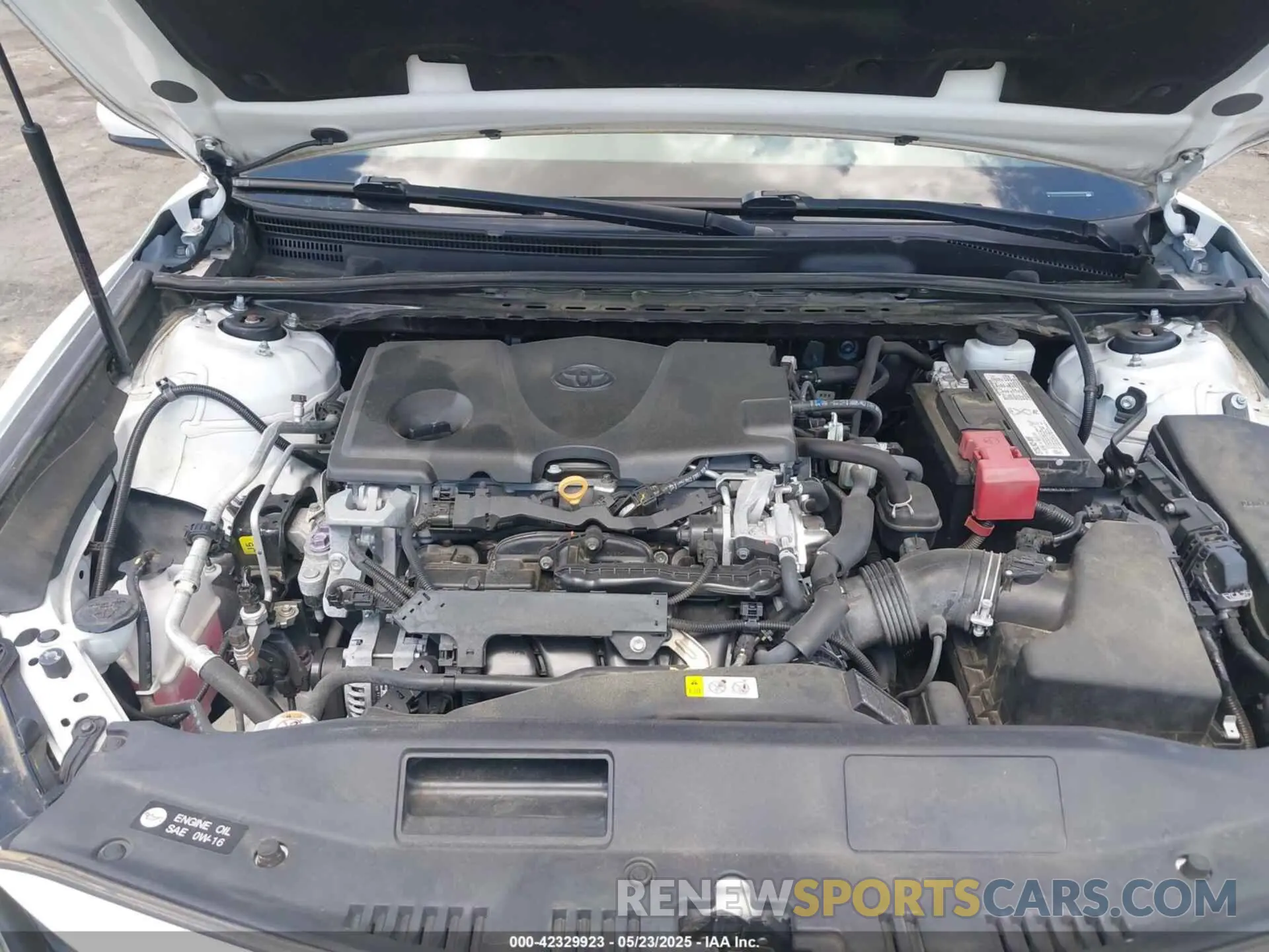 10 Photograph of a damaged car 4T1B11HK8KU819010 TOYOTA CAMRY 2019
