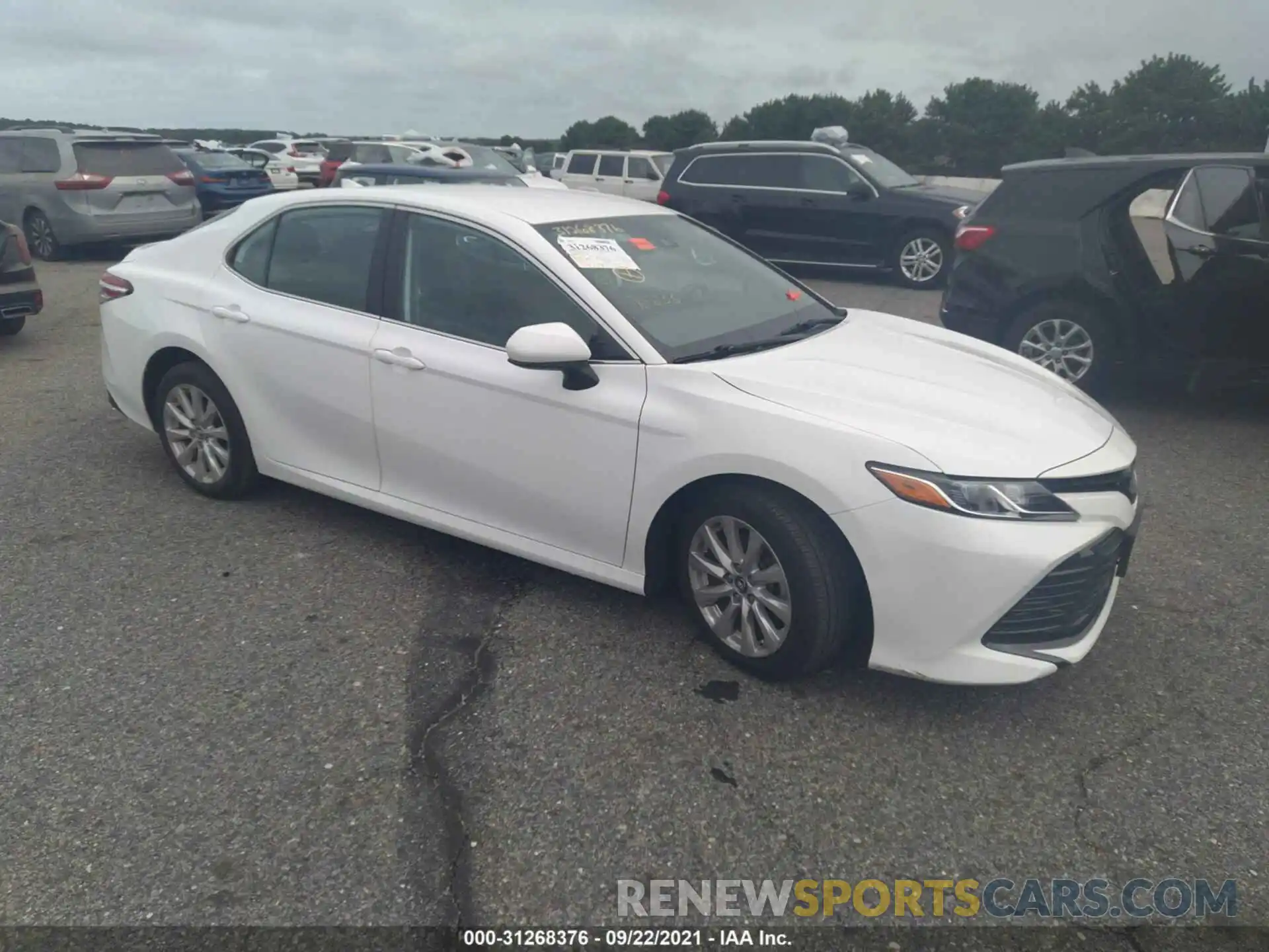 1 Photograph of a damaged car 4T1B11HK9KU173041 TOYOTA CAMRY 2019