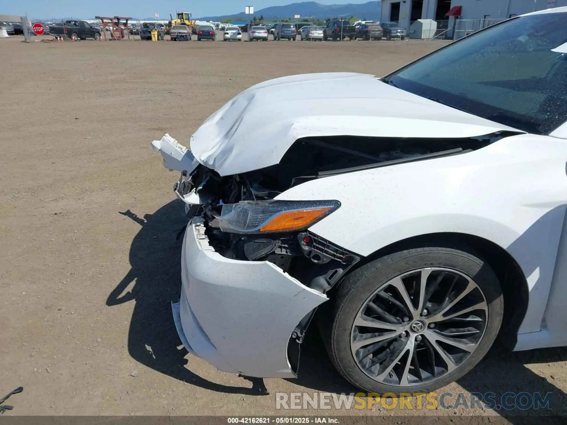6 Photograph of a damaged car 4T1B11HK9KU181155 TOYOTA CAMRY 2019