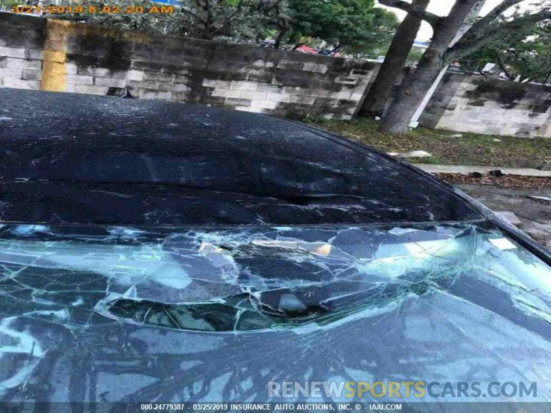 13 Photograph of a damaged car 4T1B11HK9KU183052 TOYOTA CAMRY 2019