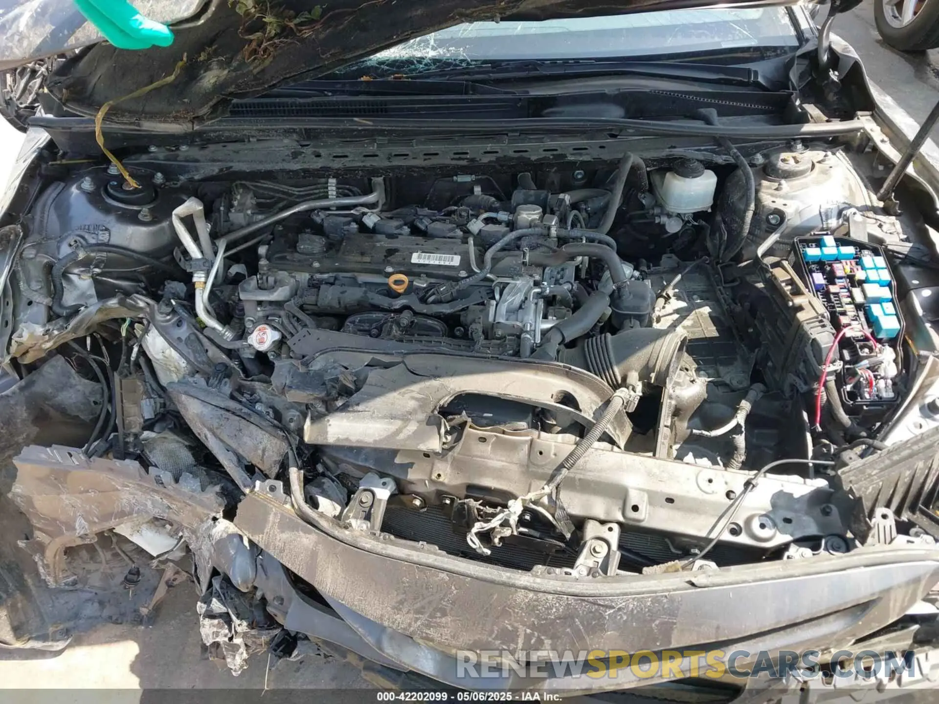 10 Photograph of a damaged car 4T1B11HK9KU231598 TOYOTA CAMRY 2019