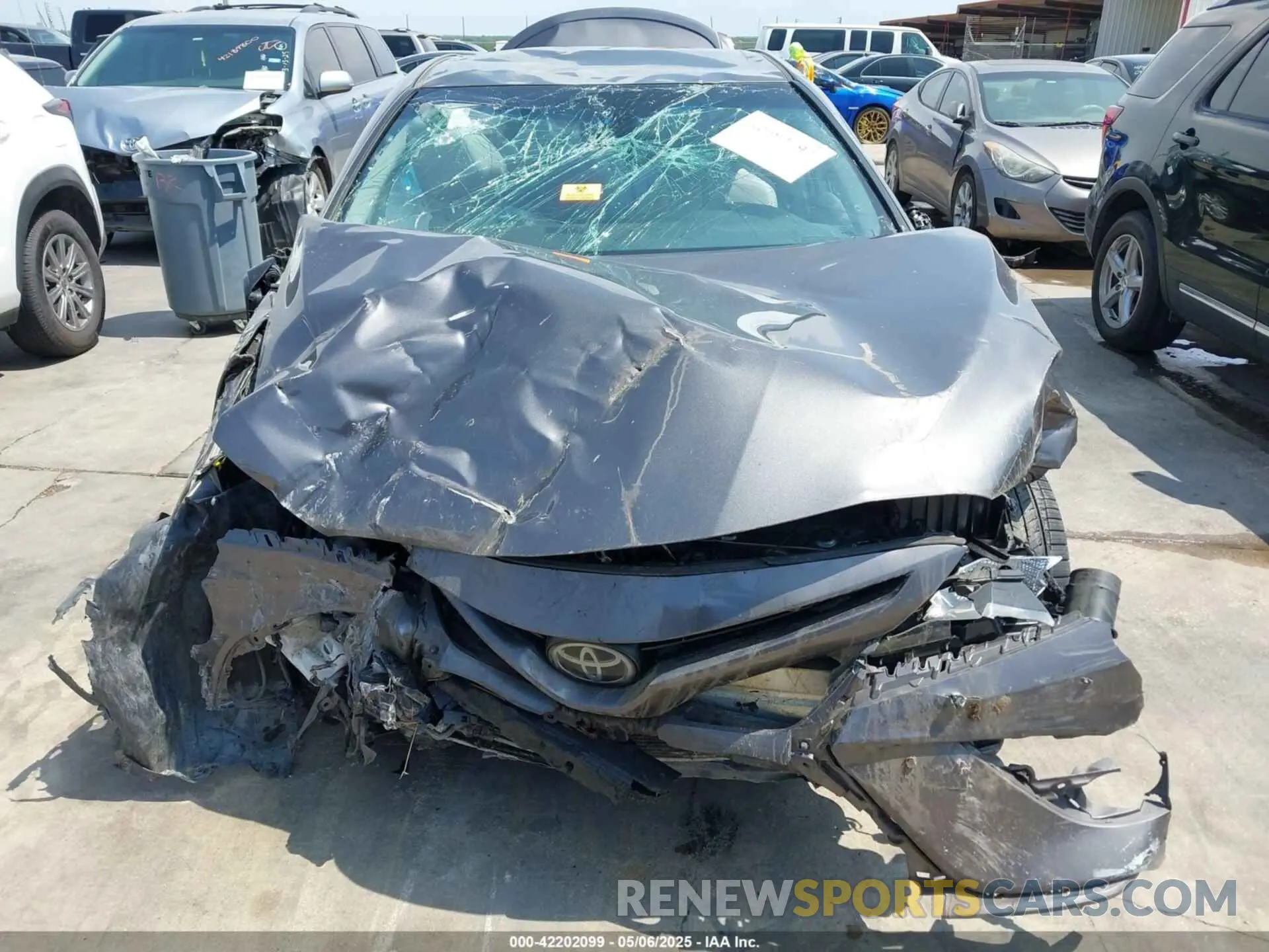 12 Photograph of a damaged car 4T1B11HK9KU231598 TOYOTA CAMRY 2019
