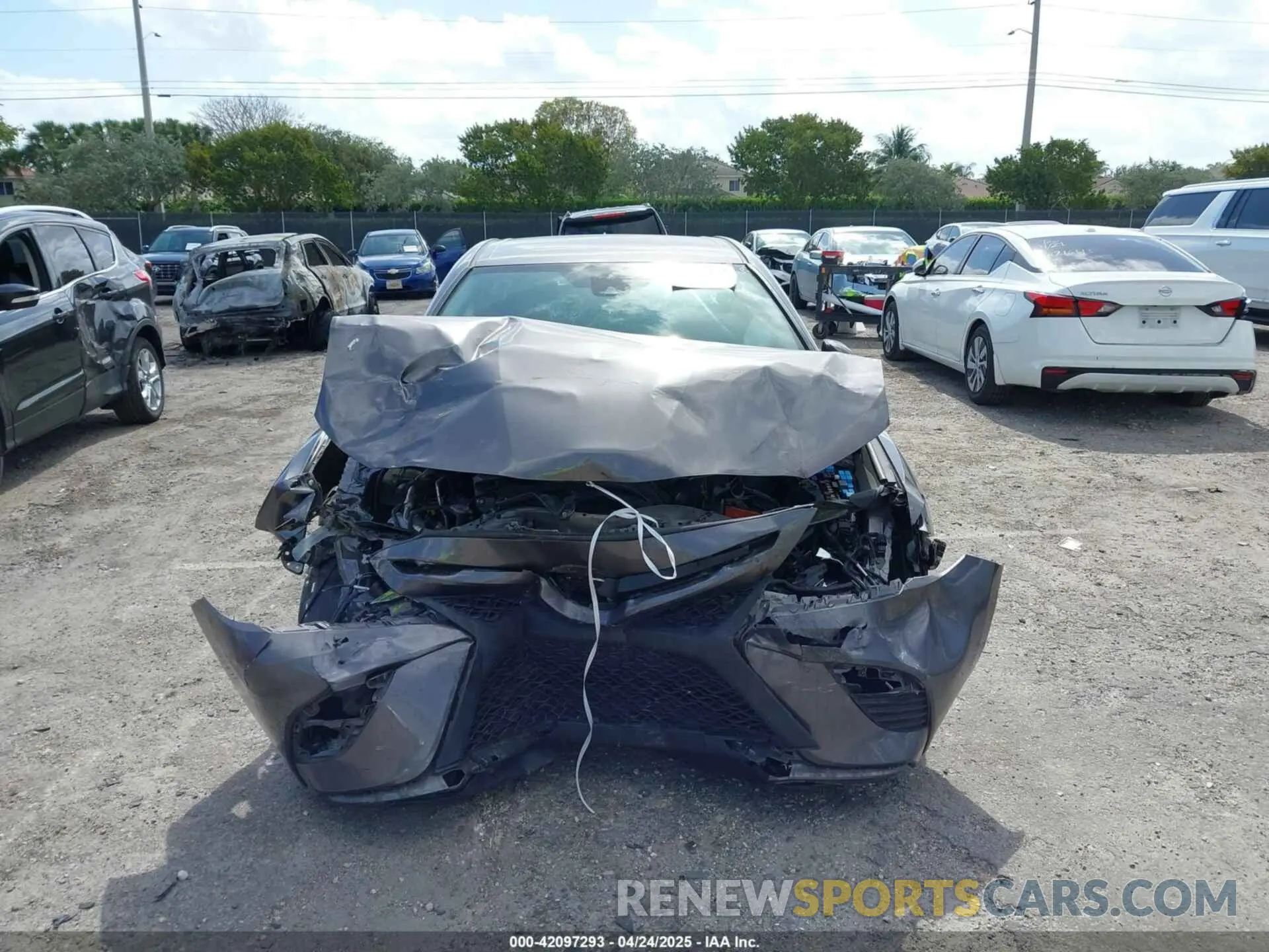 6 Photograph of a damaged car 4T1B11HK9KU294703 TOYOTA CAMRY 2019