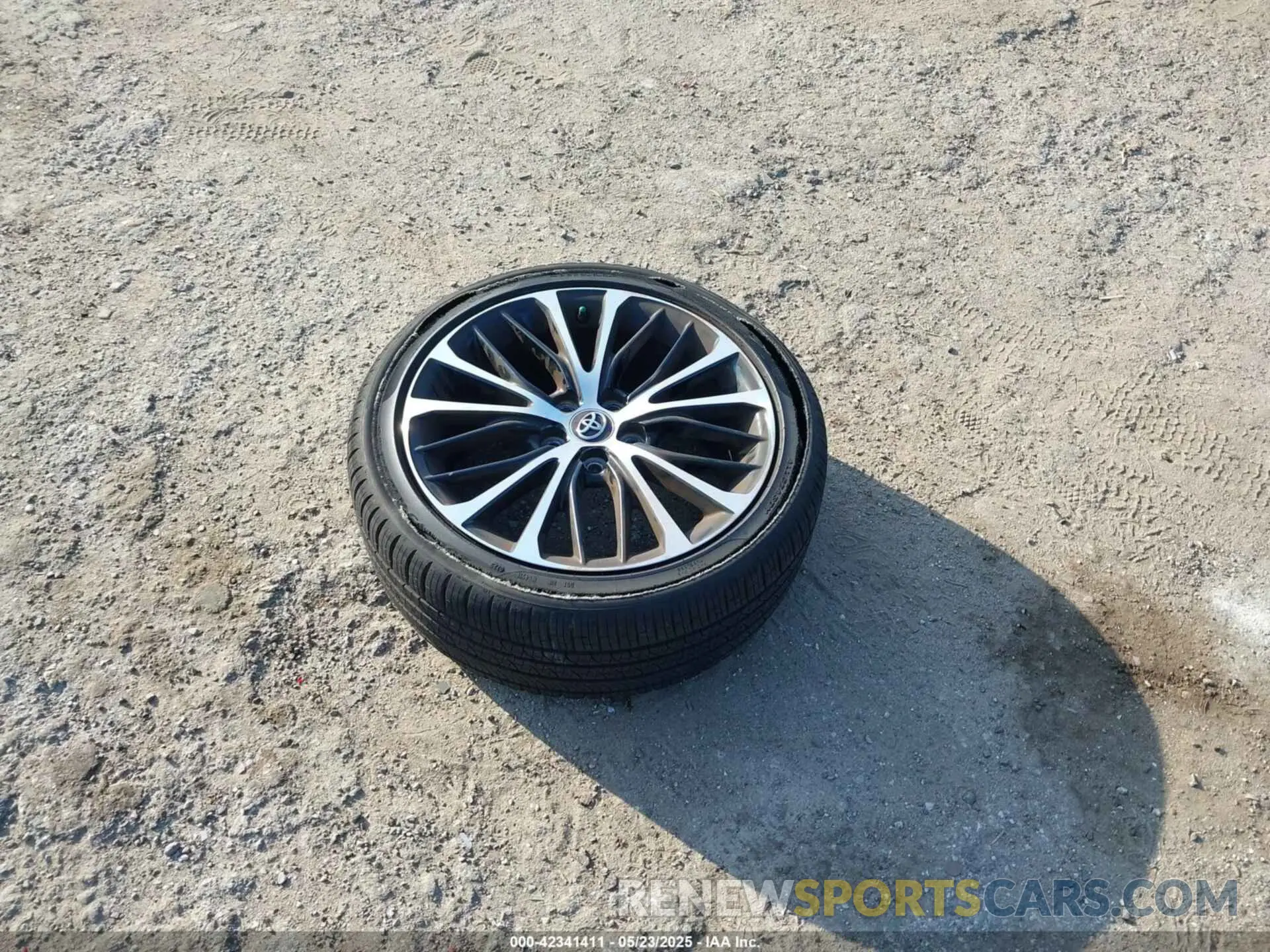 12 Photograph of a damaged car 4T1B11HK9KU694938 TOYOTA CAMRY 2019