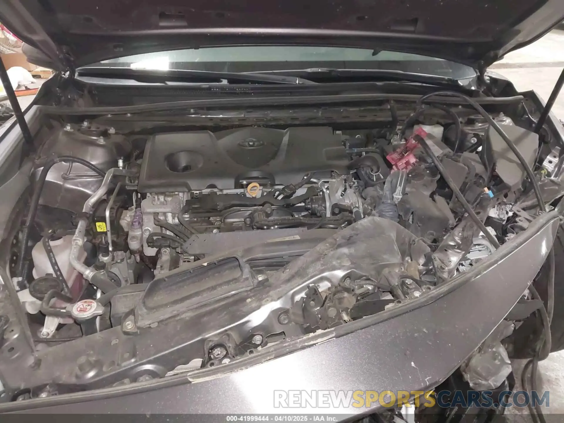10 Photograph of a damaged car 4T1B11HK9KU709244 TOYOTA CAMRY 2019