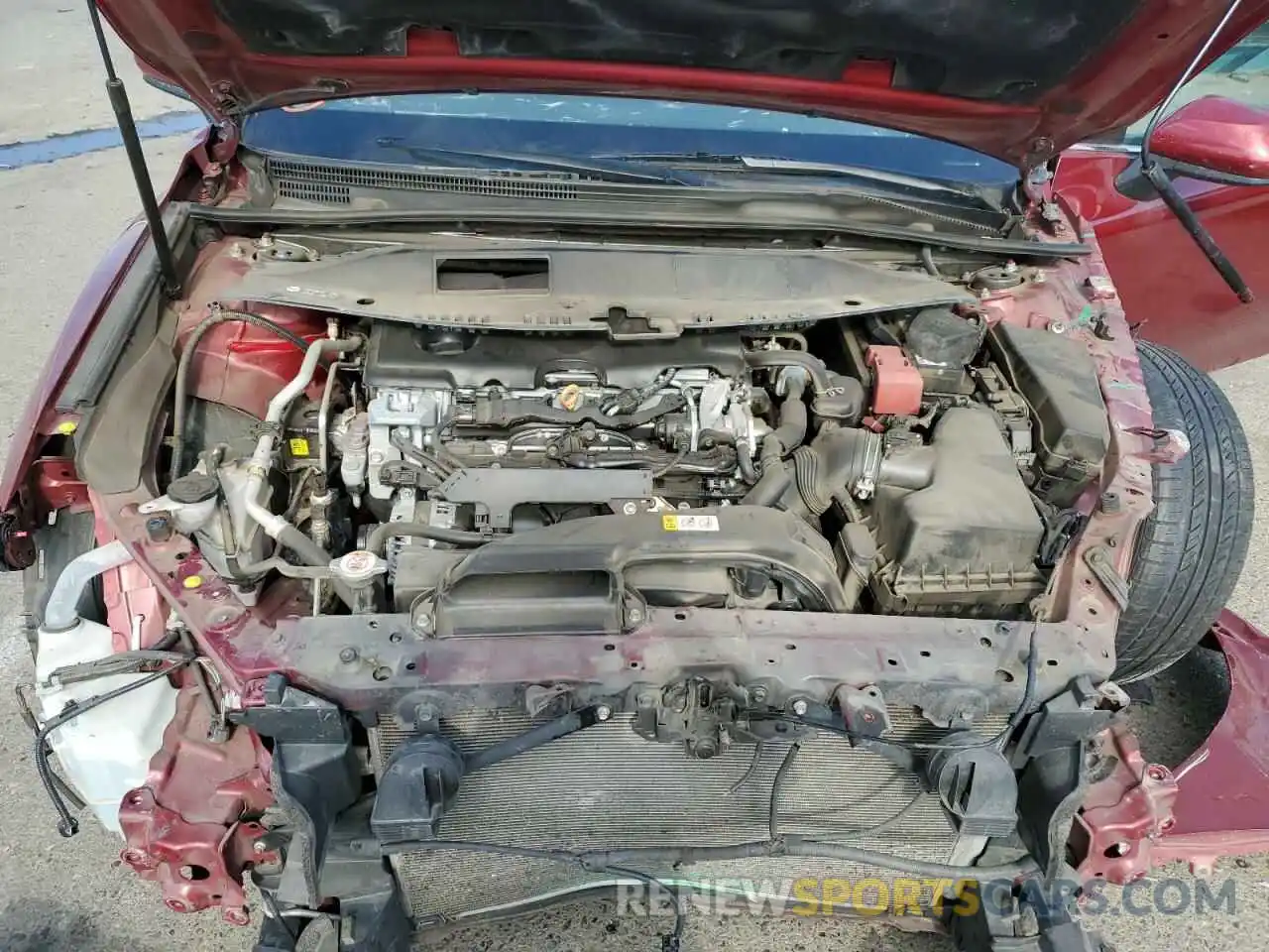 7 Photograph of a damaged car 4T1B11HK9KU718445 TOYOTA CAMRY 2019