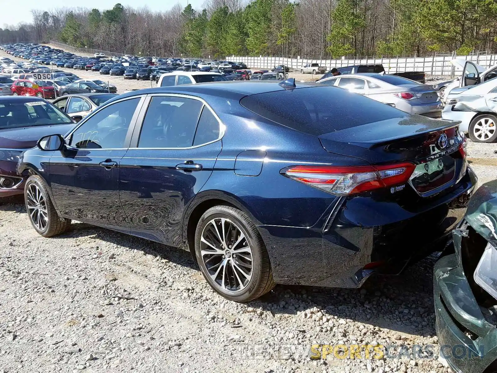 3 Photograph of a damaged car 4T1B11HK9KU756483 TOYOTA CAMRY 2019