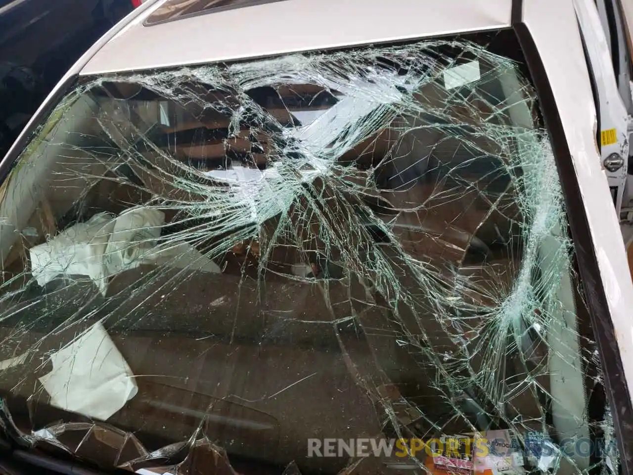 9 Photograph of a damaged car 4T1B11HK9KU766656 TOYOTA CAMRY 2019