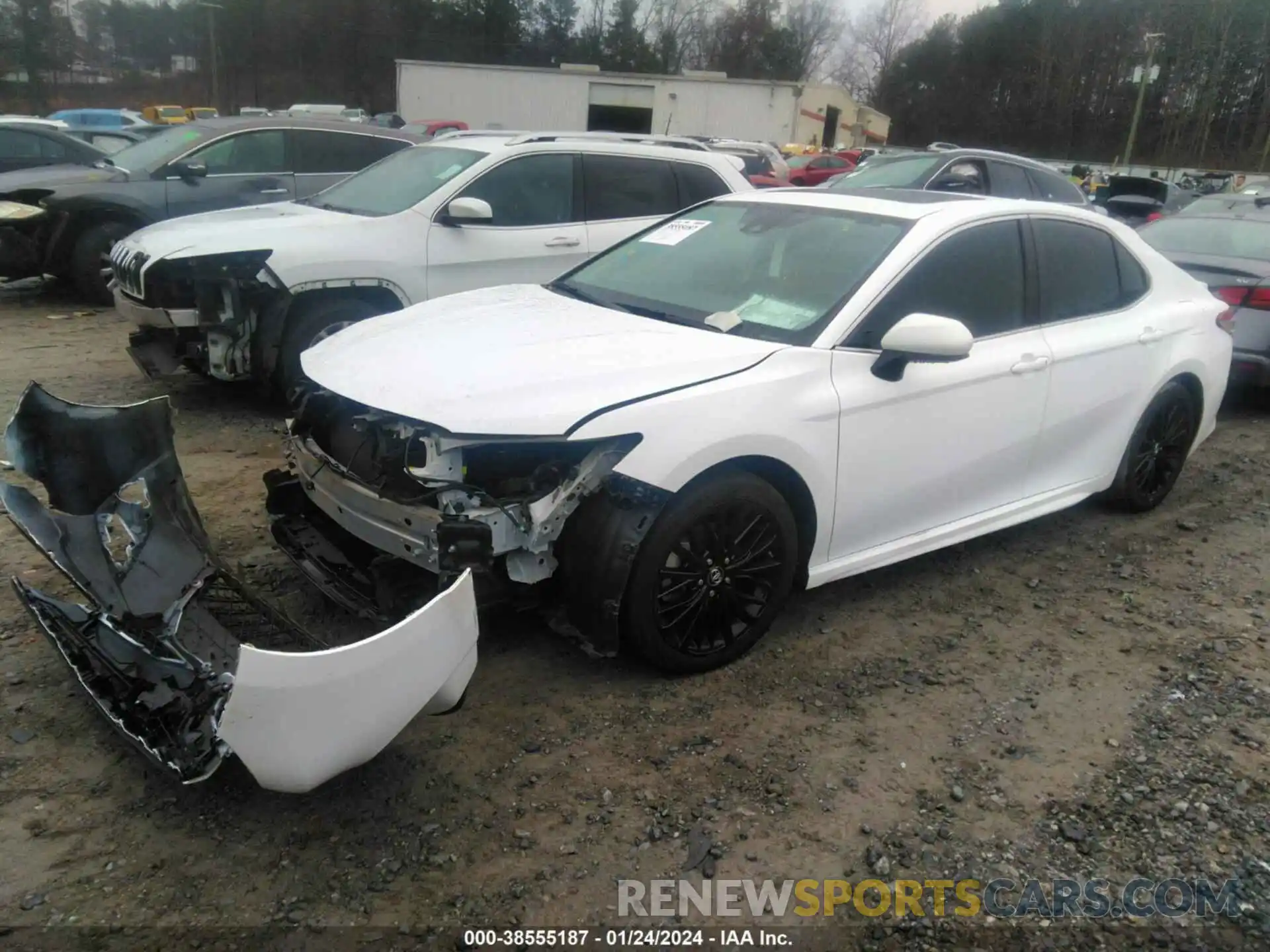 2 Photograph of a damaged car 4T1B11HK9KU804032 TOYOTA CAMRY 2019