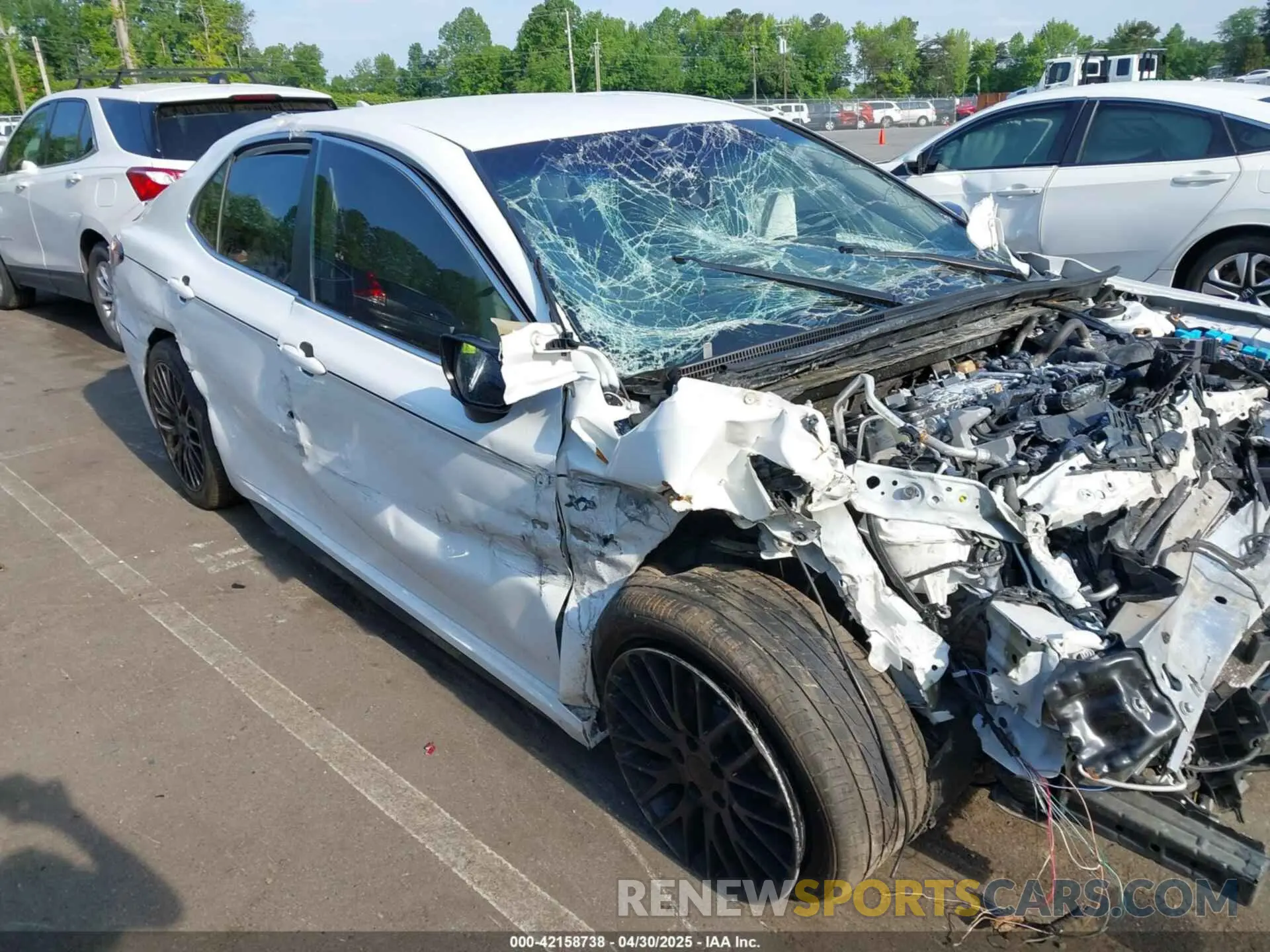 1 Photograph of a damaged car 4T1B11HK9KU842909 TOYOTA CAMRY 2019