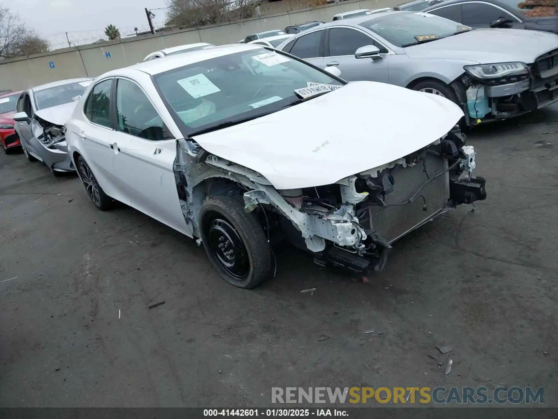 1 Photograph of a damaged car 4T1B11HK9KU845115 TOYOTA CAMRY 2019