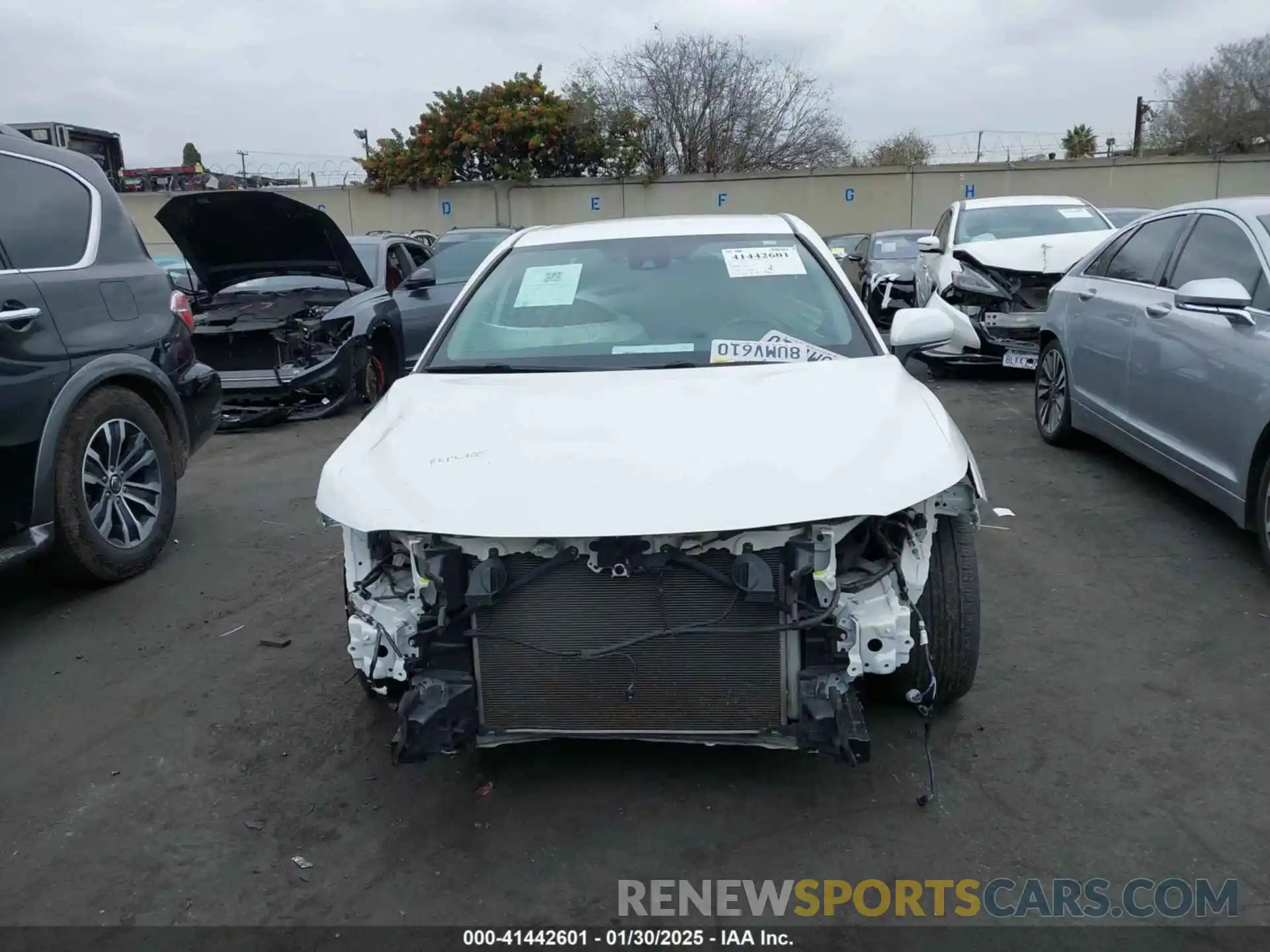 12 Photograph of a damaged car 4T1B11HK9KU845115 TOYOTA CAMRY 2019