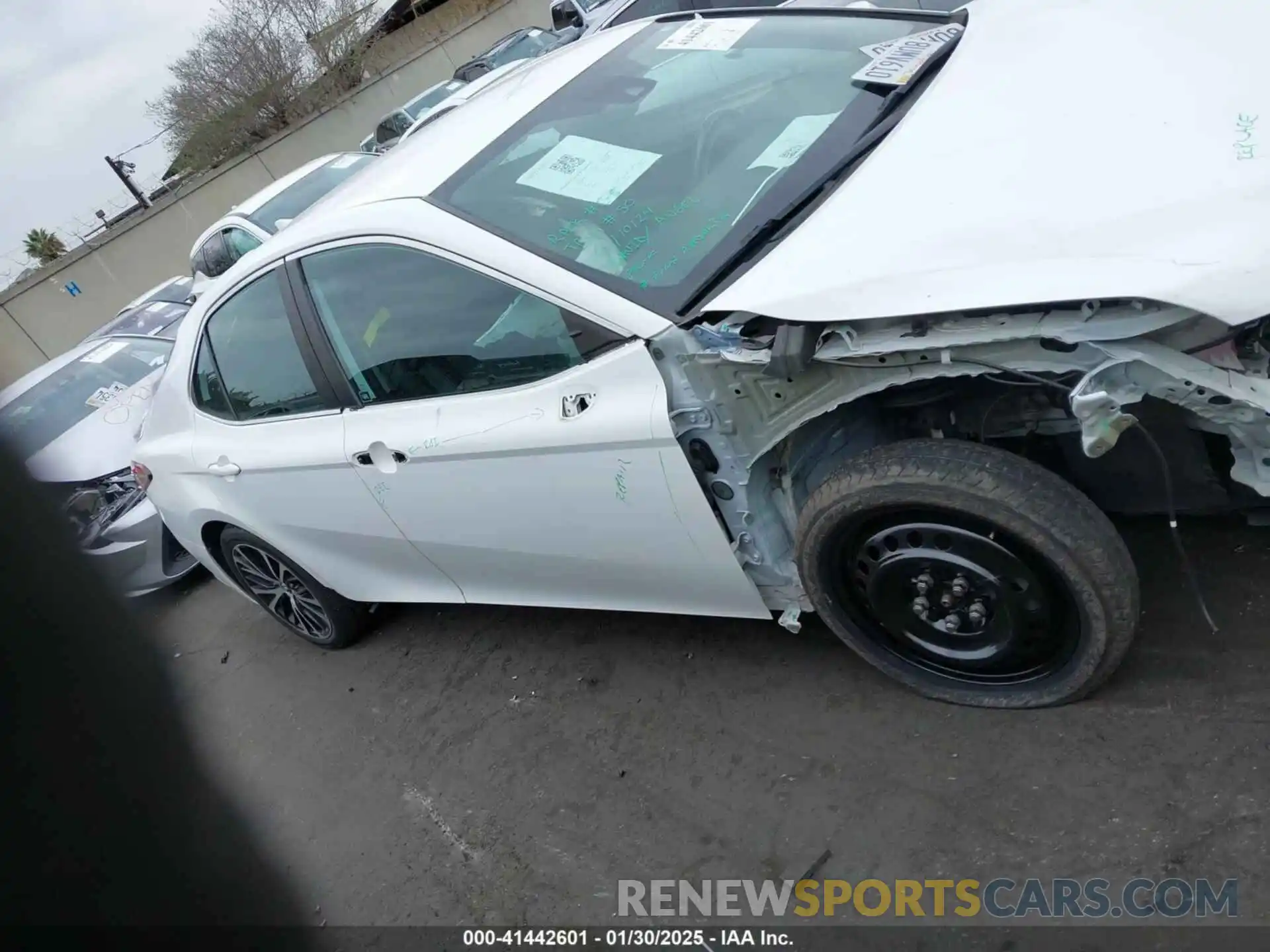 13 Photograph of a damaged car 4T1B11HK9KU845115 TOYOTA CAMRY 2019