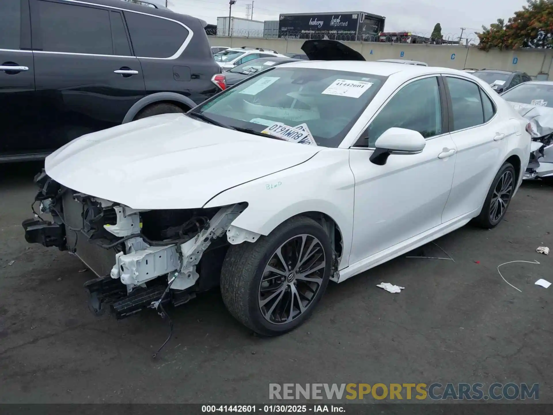 2 Photograph of a damaged car 4T1B11HK9KU845115 TOYOTA CAMRY 2019