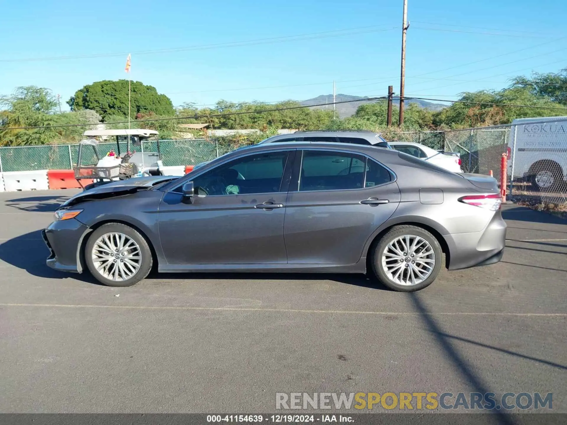 14 Photograph of a damaged car 4T1B11HKXKU161416 TOYOTA CAMRY 2019