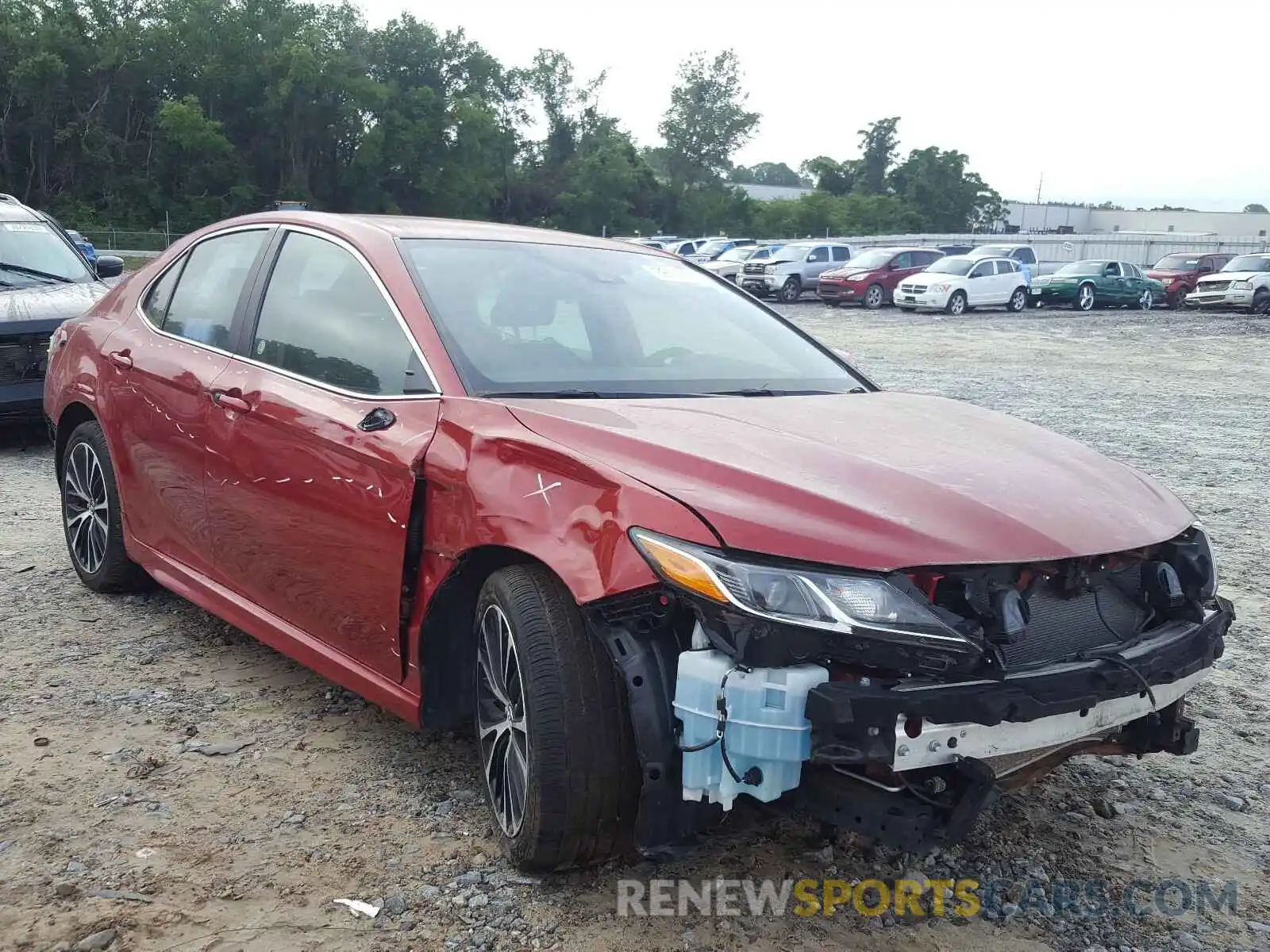 1 Photograph of a damaged car 4T1B11HKXKU169158 TOYOTA CAMRY 2019