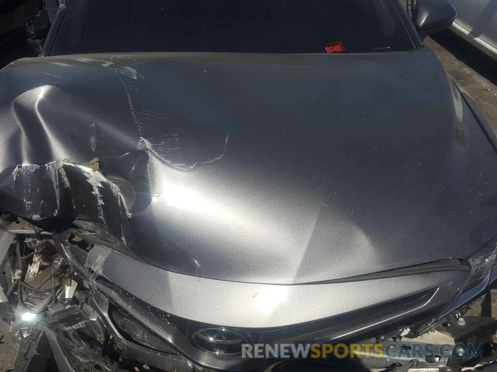 7 Photograph of a damaged car 4T1B11HKXKU174828 TOYOTA CAMRY 2019