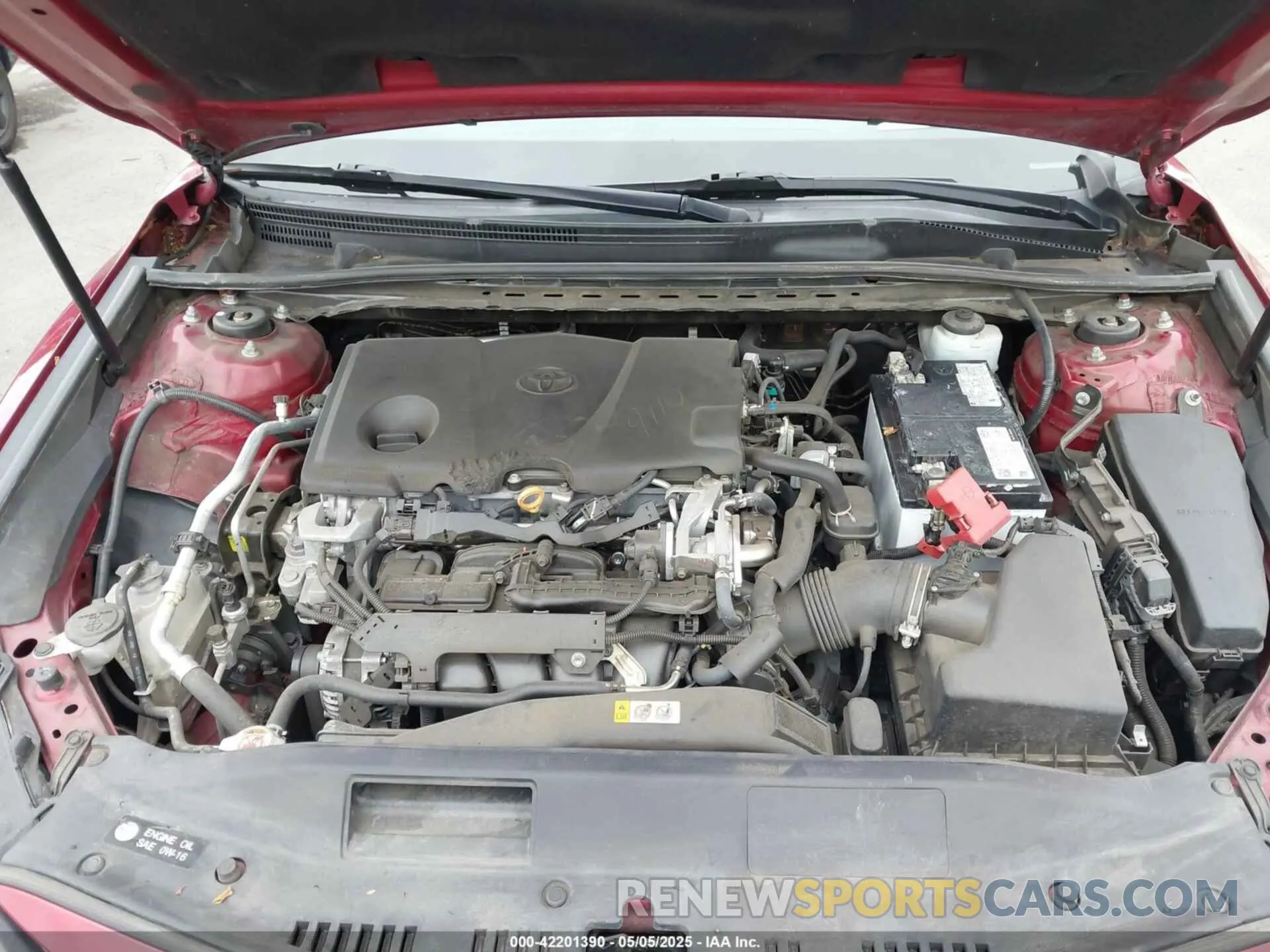 10 Photograph of a damaged car 4T1B11HKXKU243453 TOYOTA CAMRY 2019