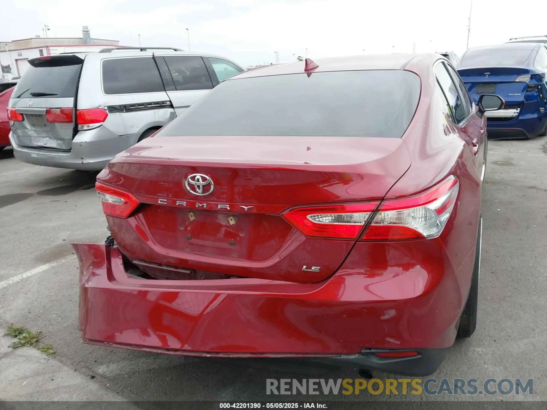 16 Photograph of a damaged car 4T1B11HKXKU243453 TOYOTA CAMRY 2019