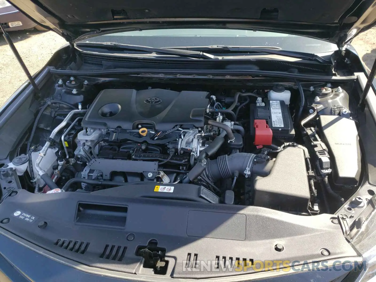 7 Photograph of a damaged car 4T1B11HKXKU244537 TOYOTA CAMRY 2019